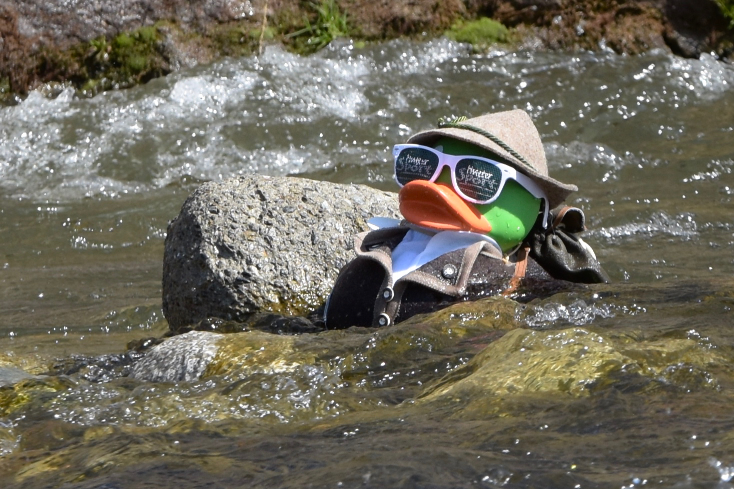 Gara delle papere "Tirolese rilassato"