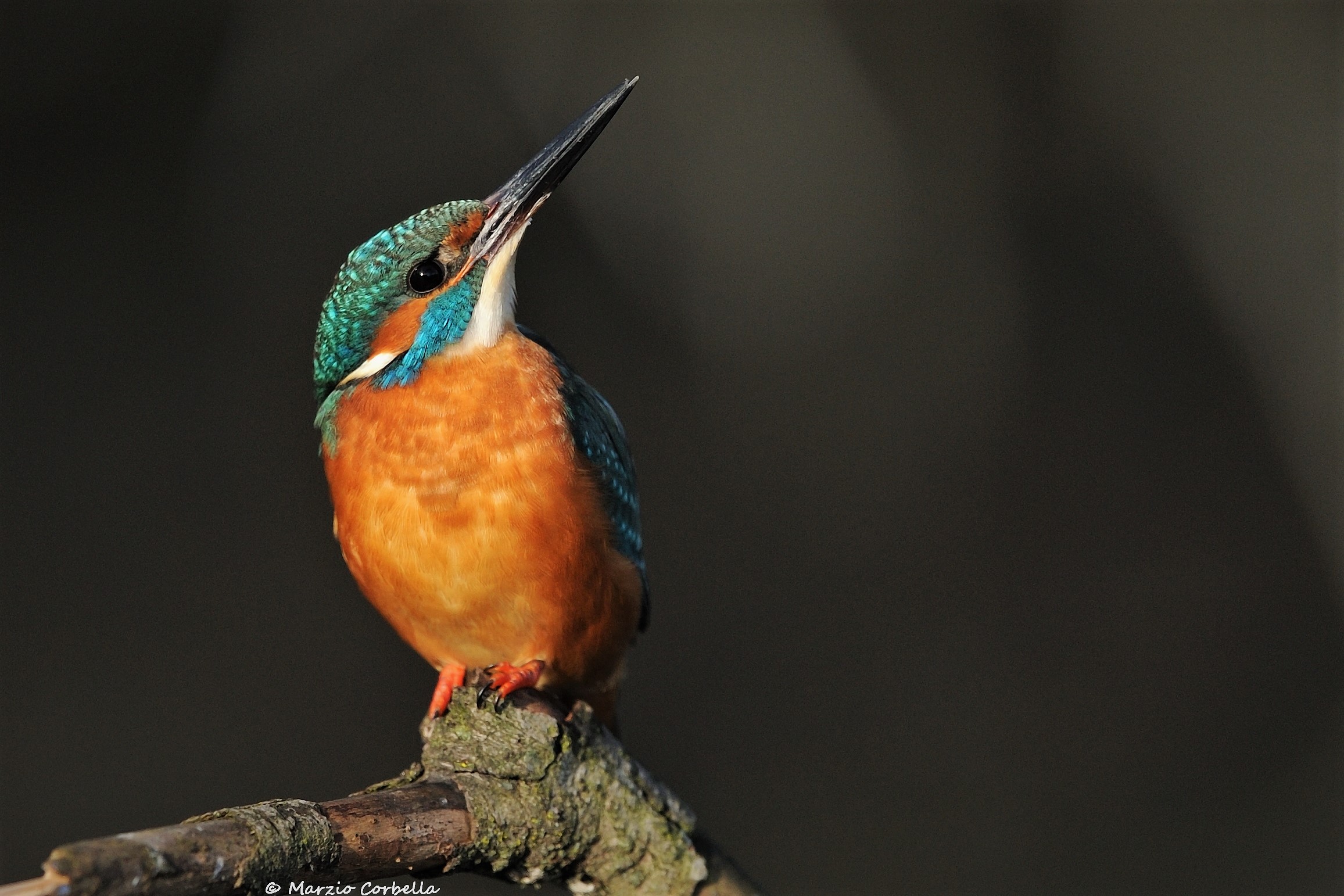 Someone loves me up there...