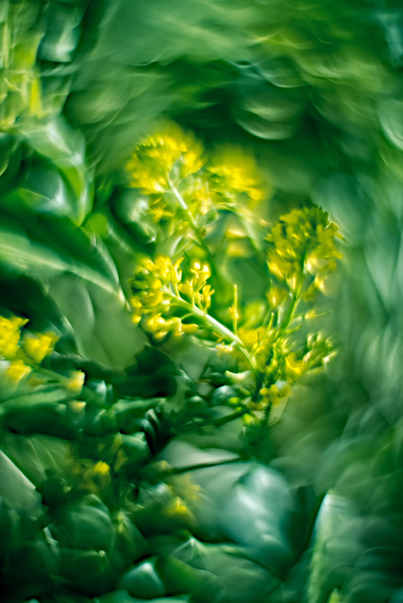 Tourbillon de Printemps