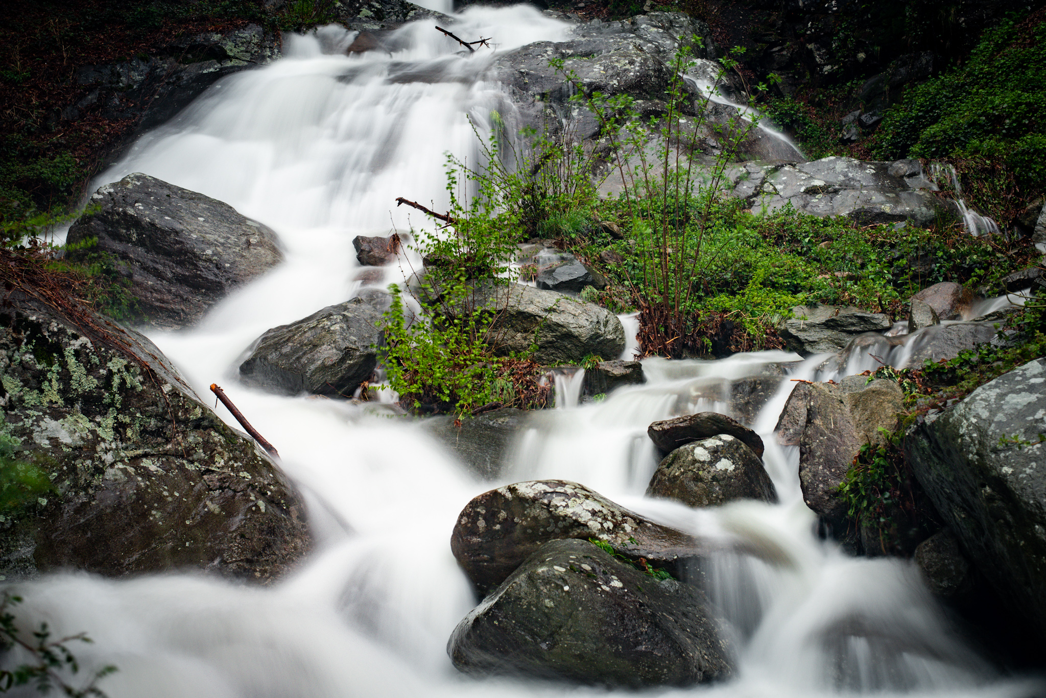 It was once a brook...