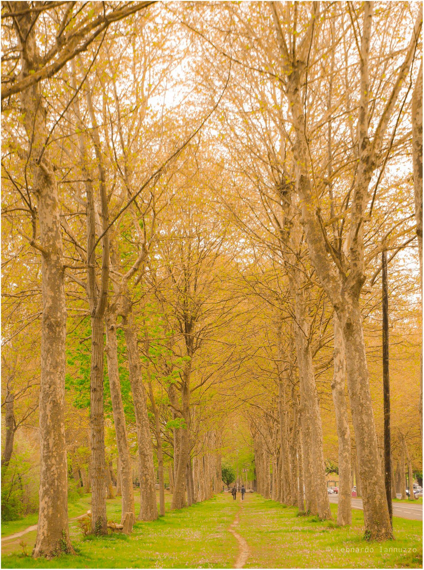 Caen-Suburban landscape