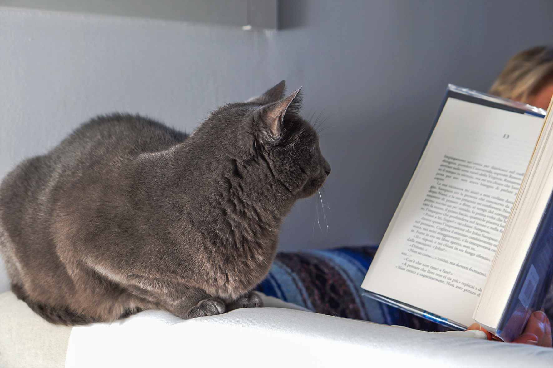 Che bello questo romanzo d'amore!