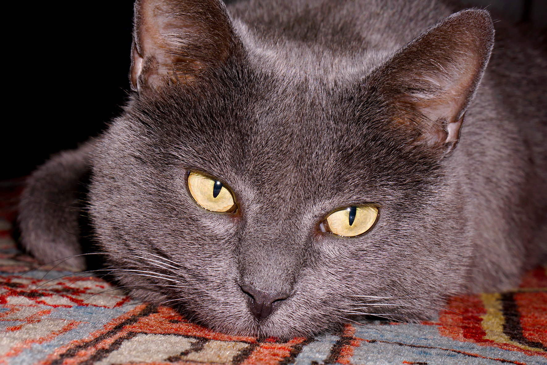 Mi sono proprio commossa...