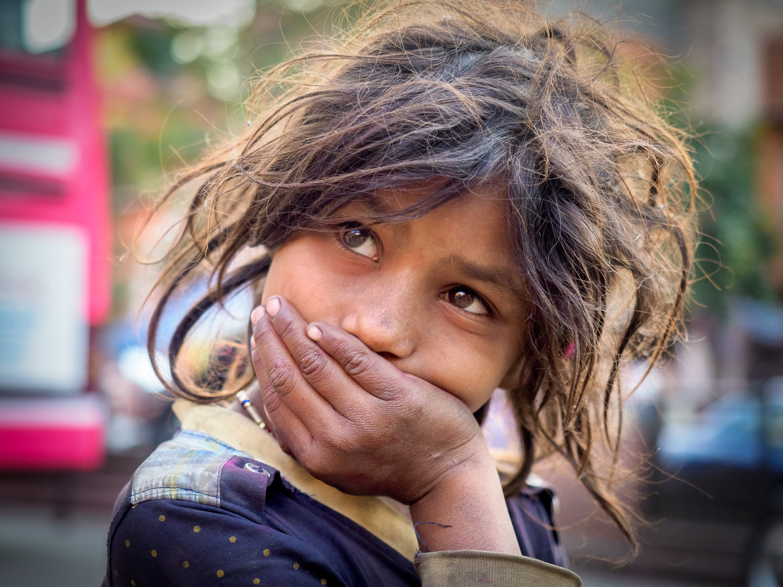 Along the streets of Japur I met..........