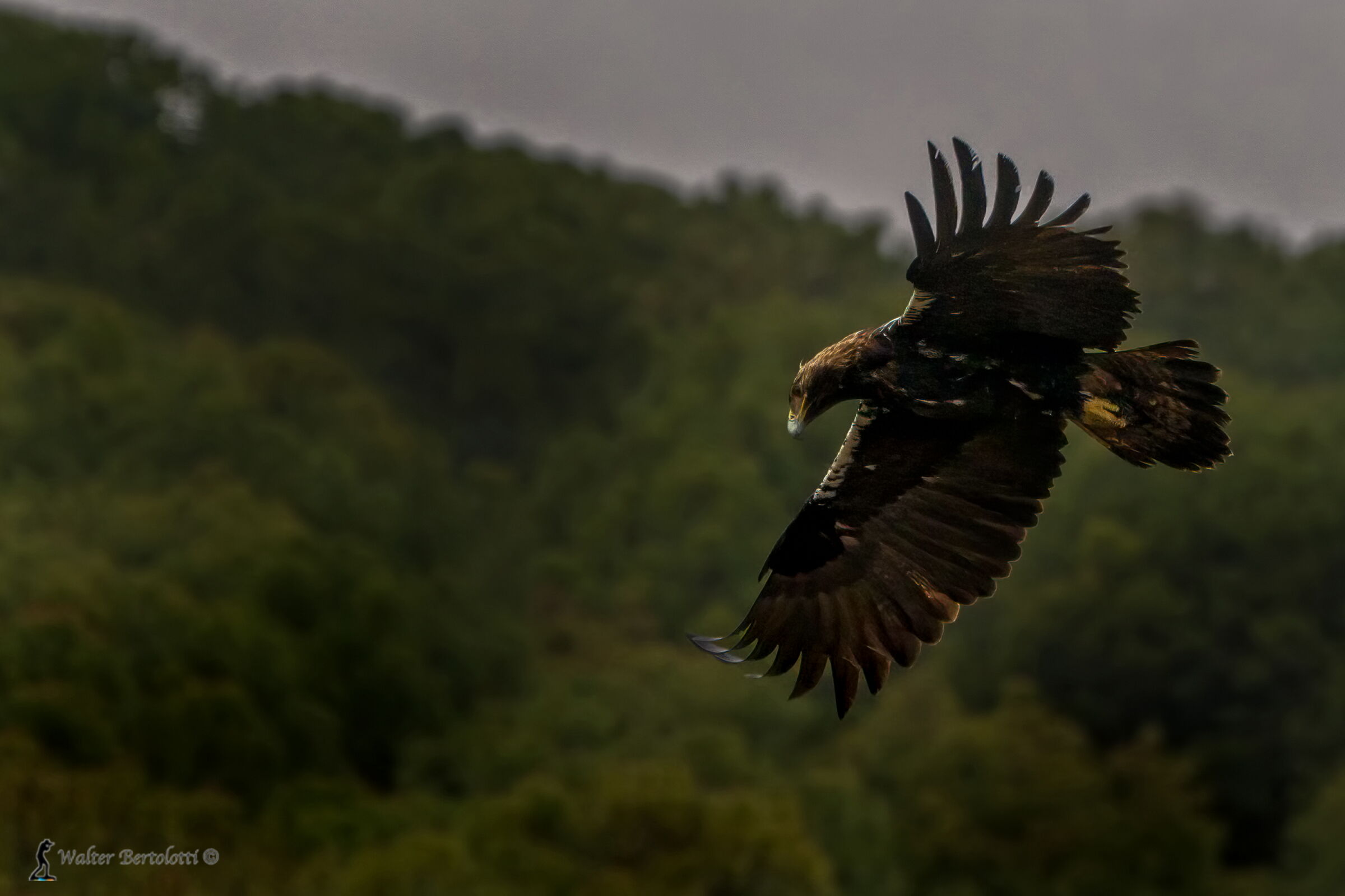 controlliamo chi c'è