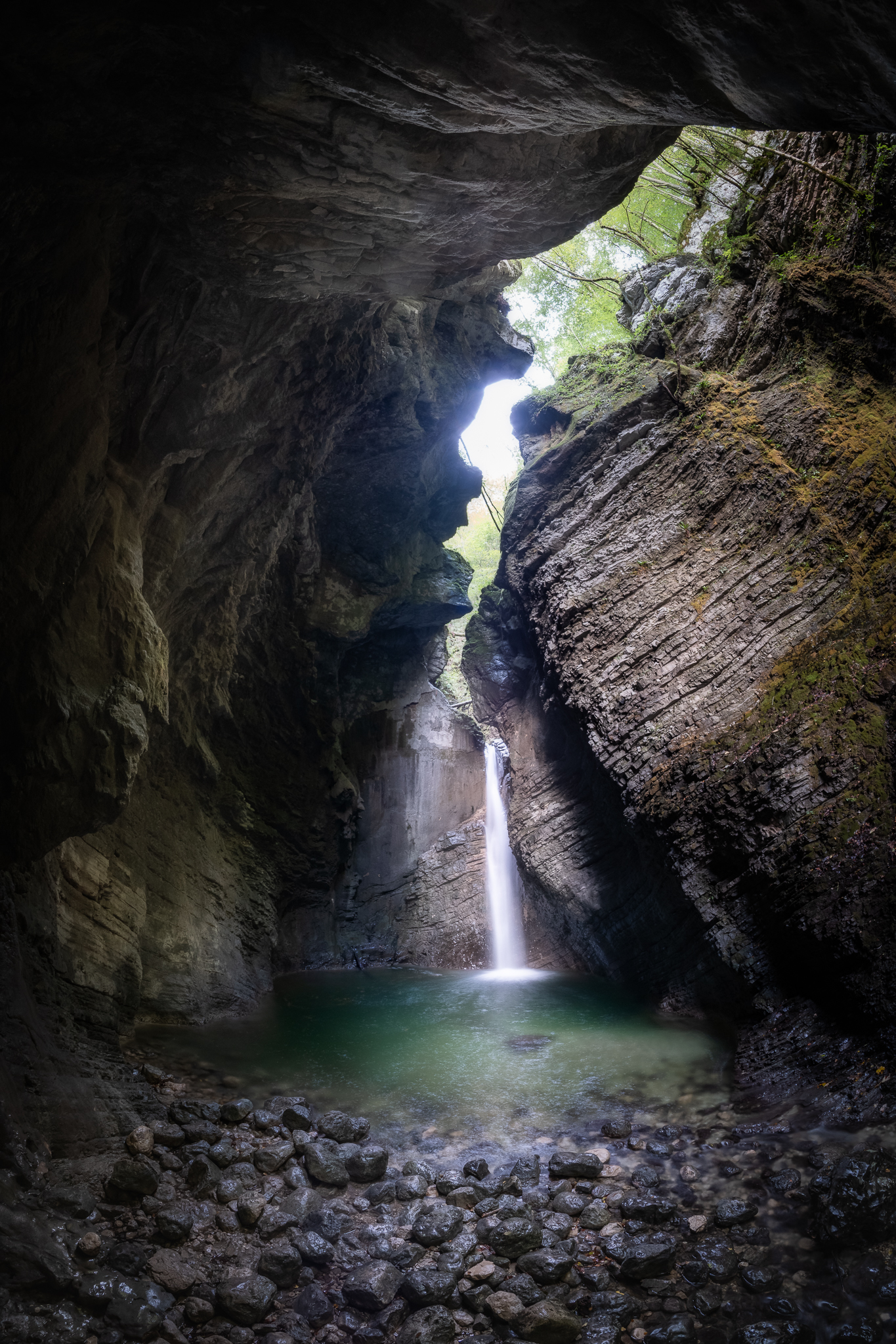 The belly of the beast