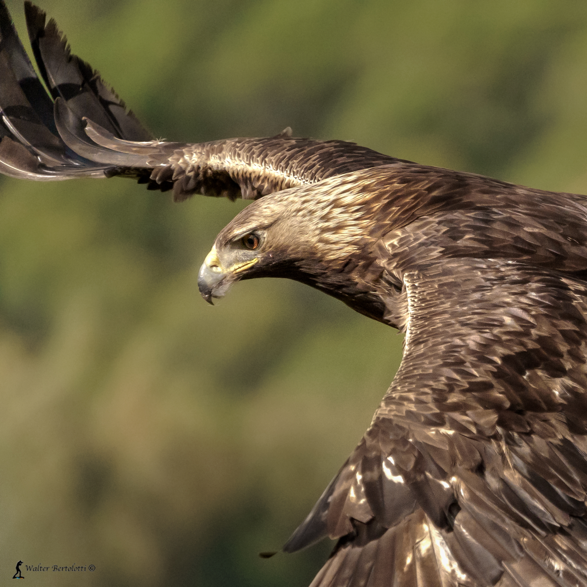 solo per i tuoi occhi
