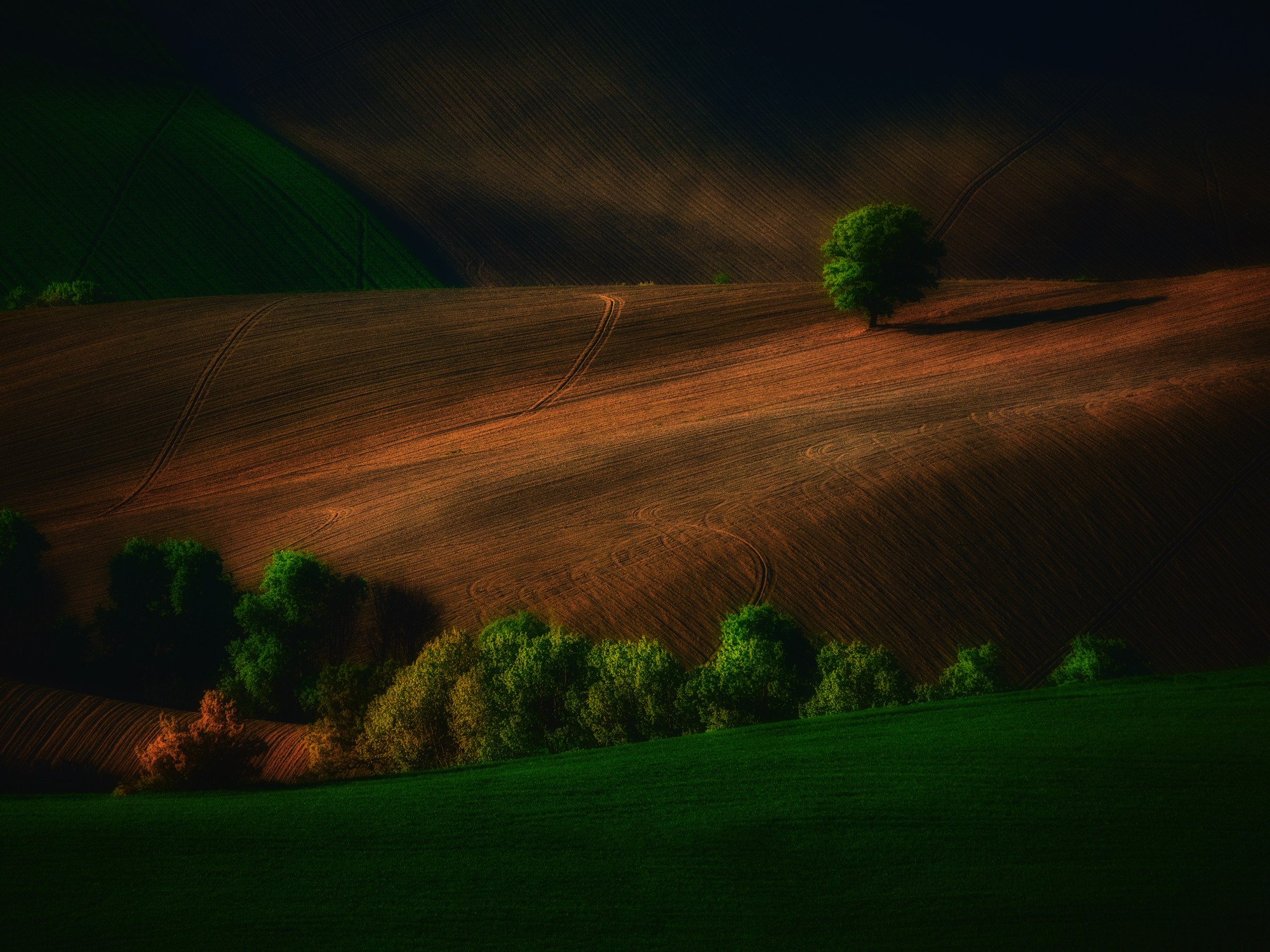 uno scorcio di campagna