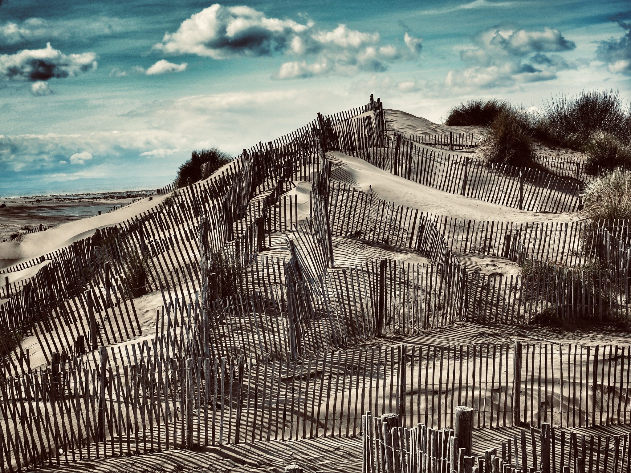 Espiguette plage- camargue