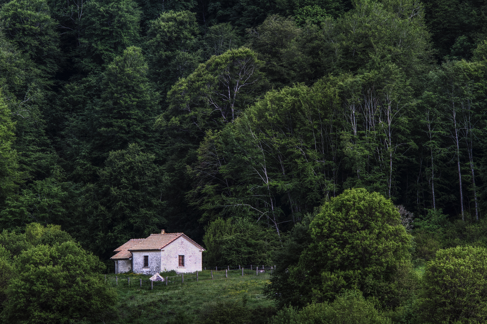 House in Pristine nature