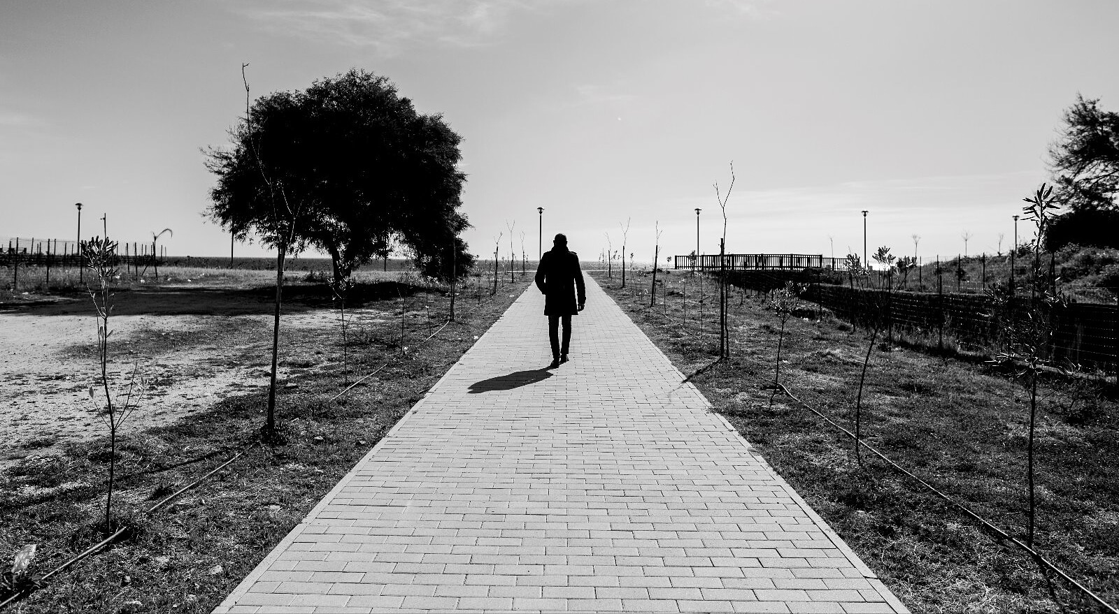 The road and the Sea