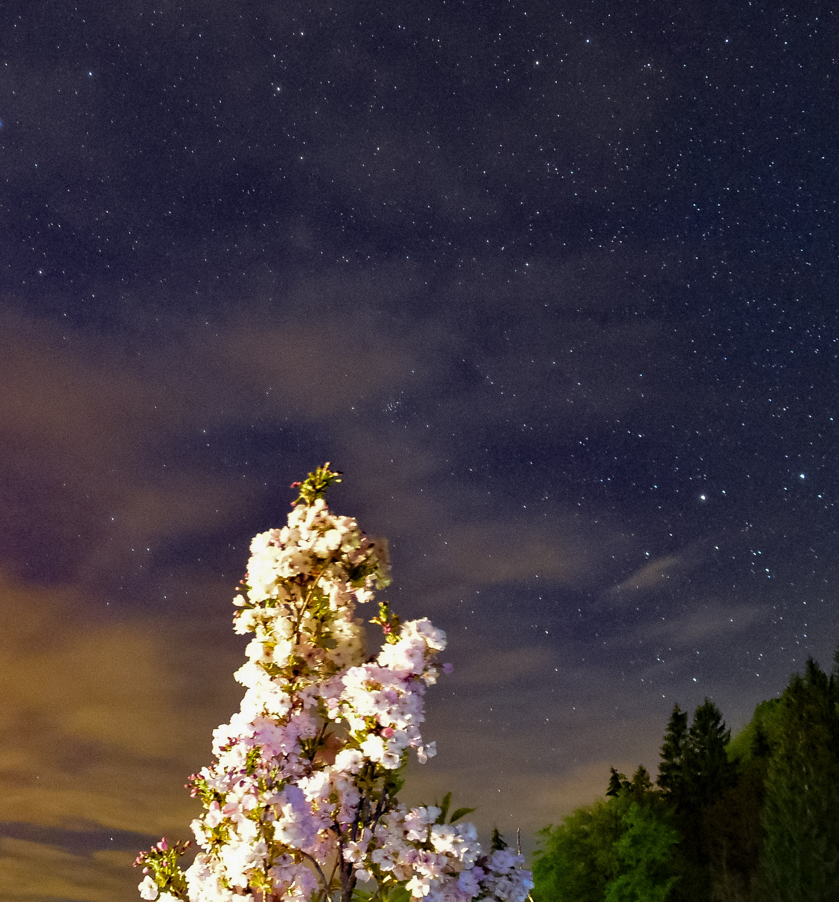 The stars from my house