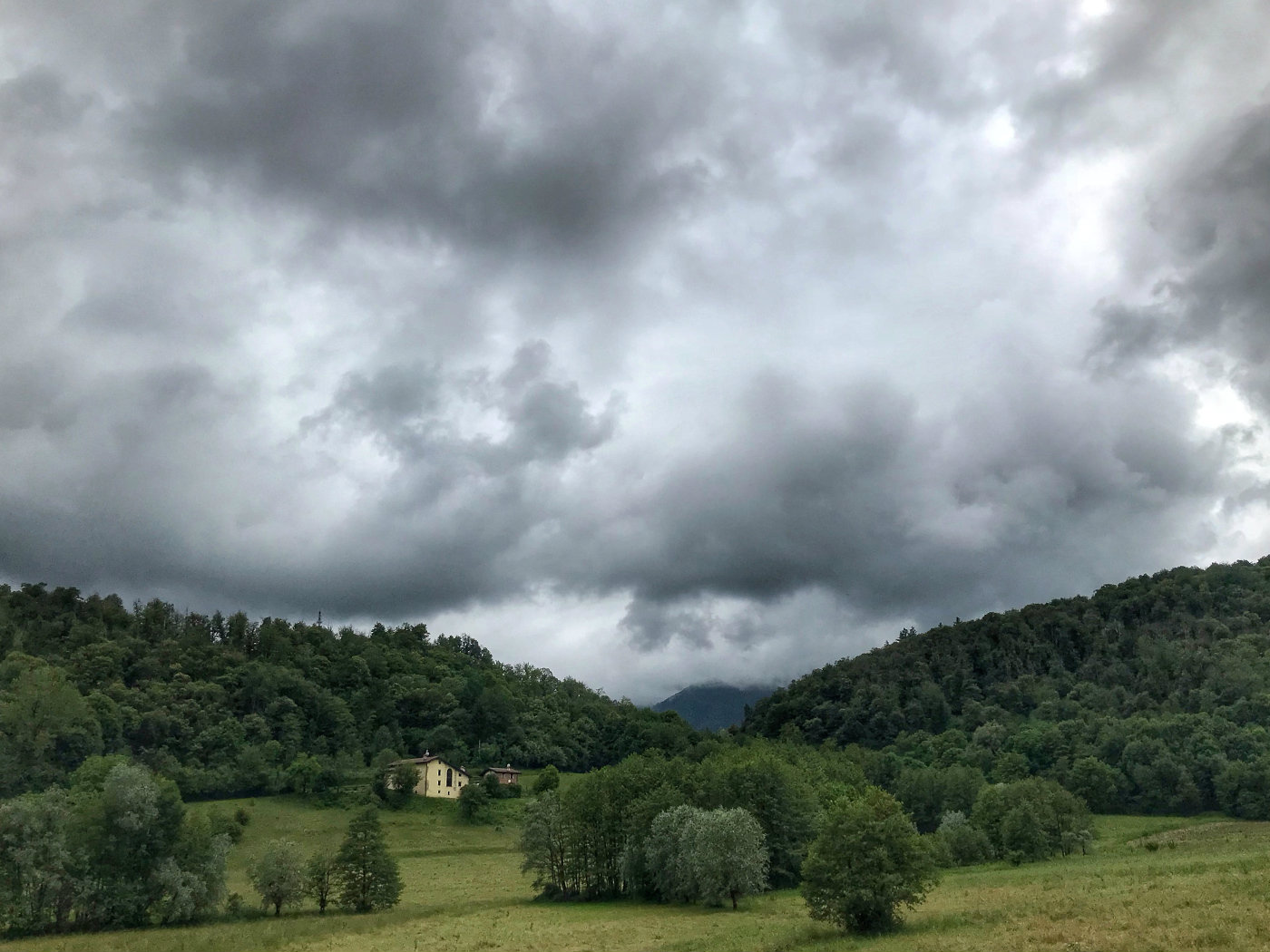 Sfumature di grigio e di verde