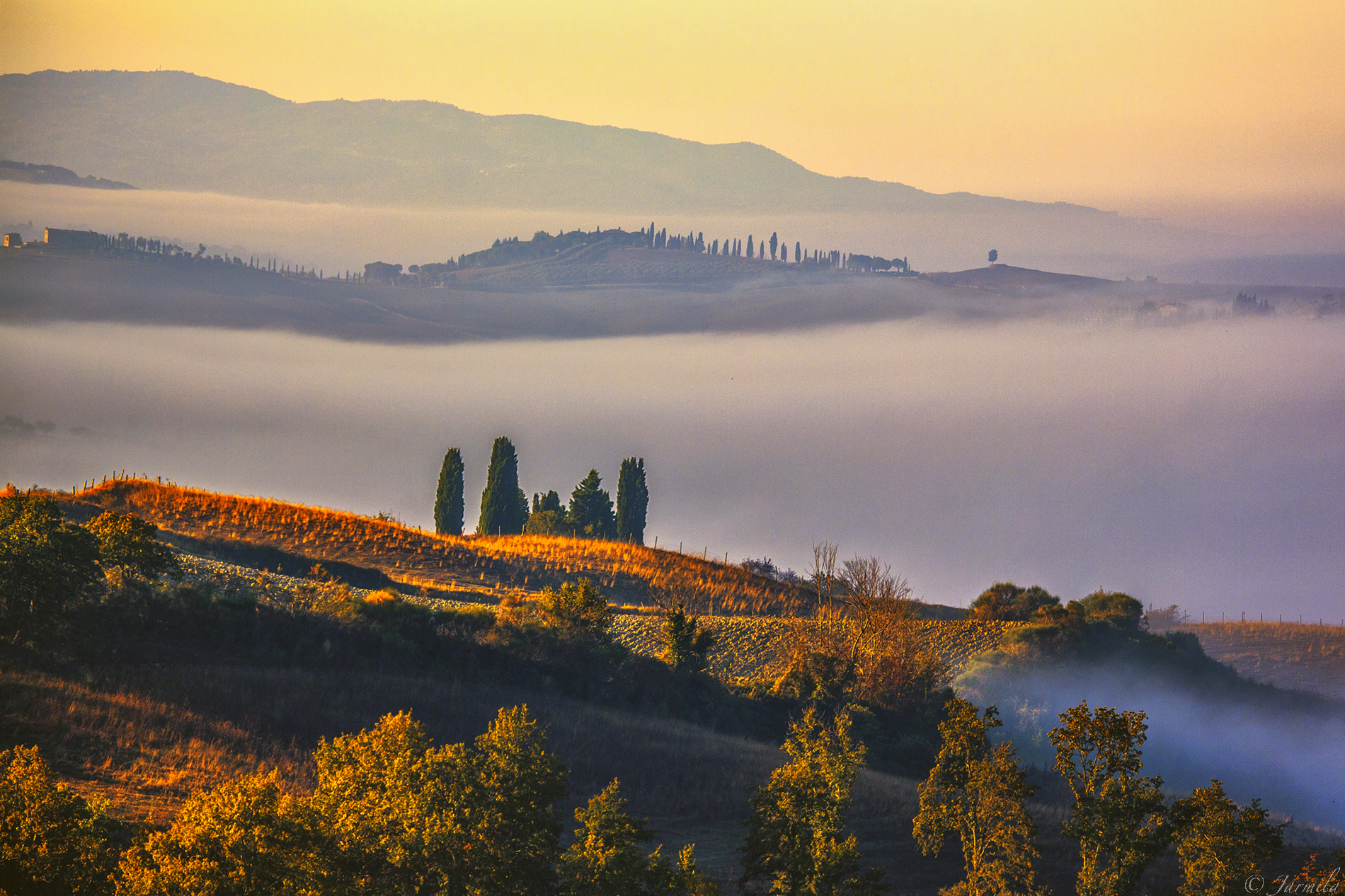 Alba meravigliosa sulla Val D'Orcia