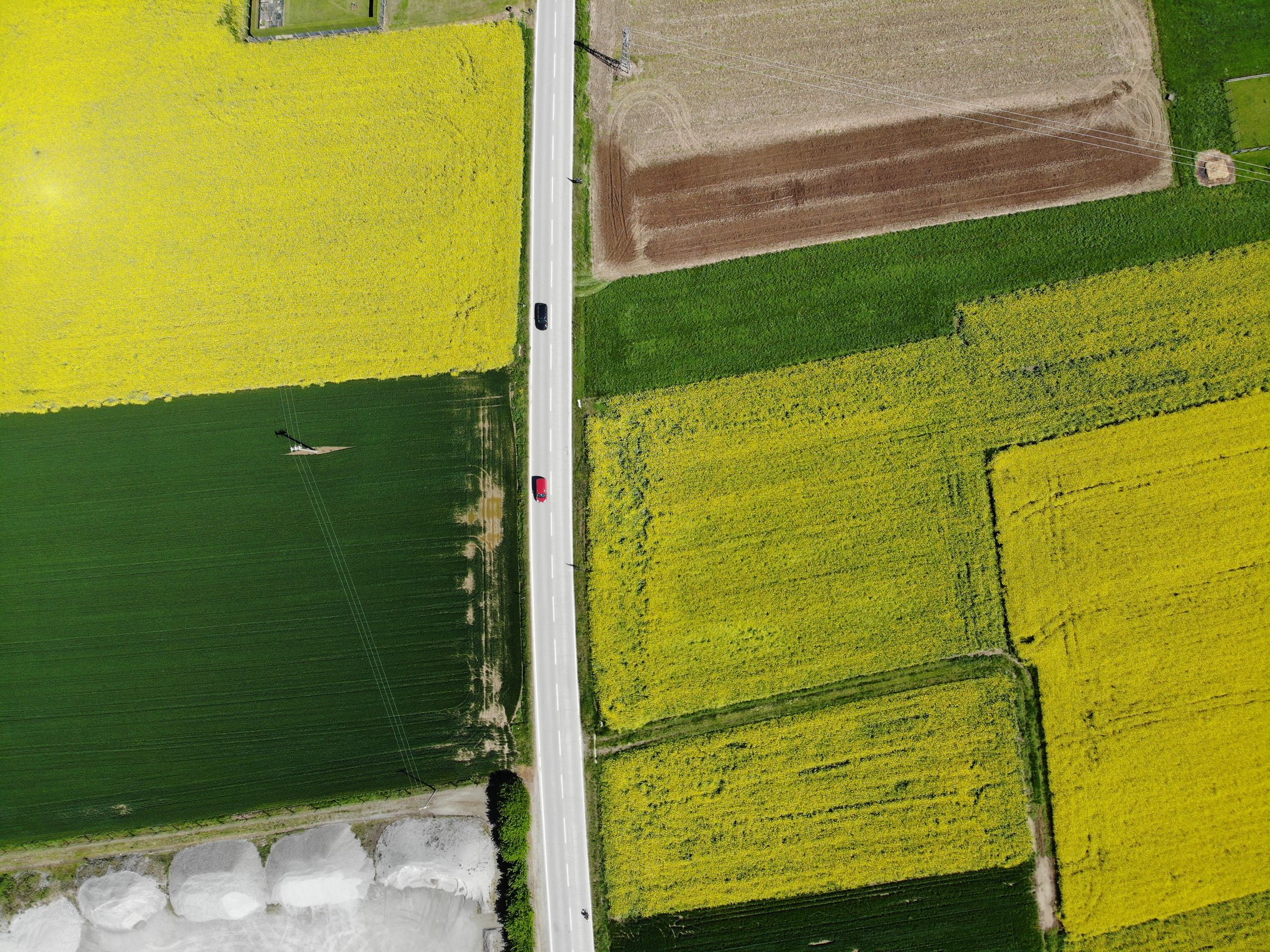 Rape and wheat fields April 2019