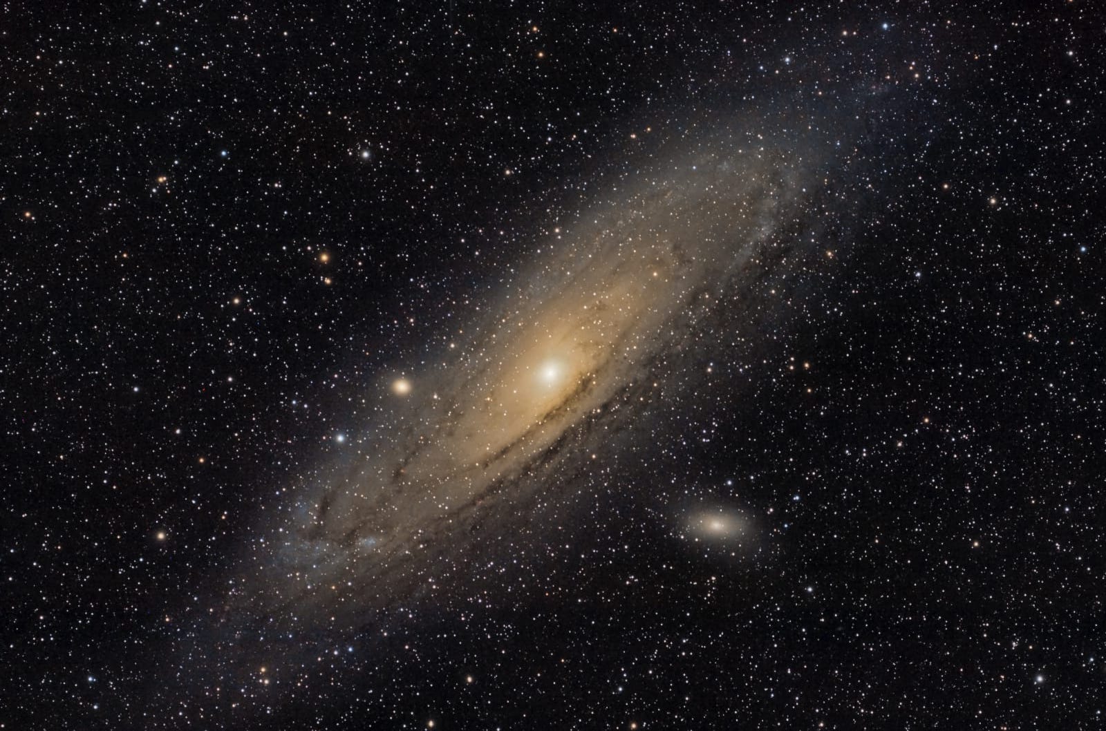 M 31