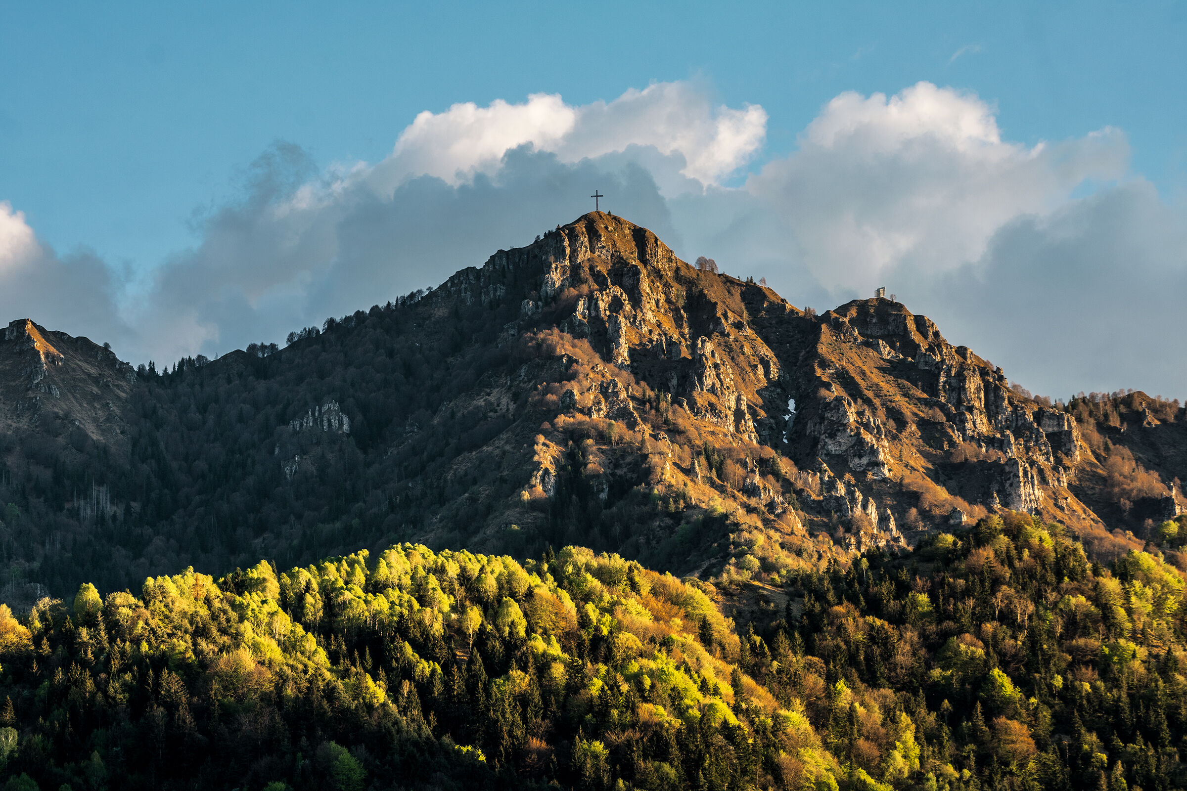 Lace Formico da Clusone