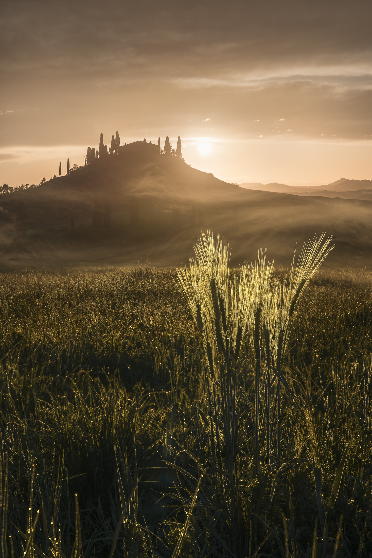 The sunrise at Podere Belvedere