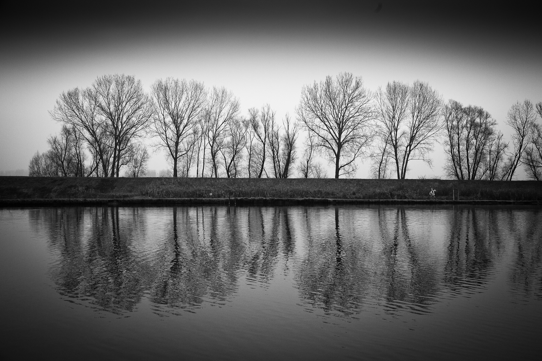 On the shore of the lake