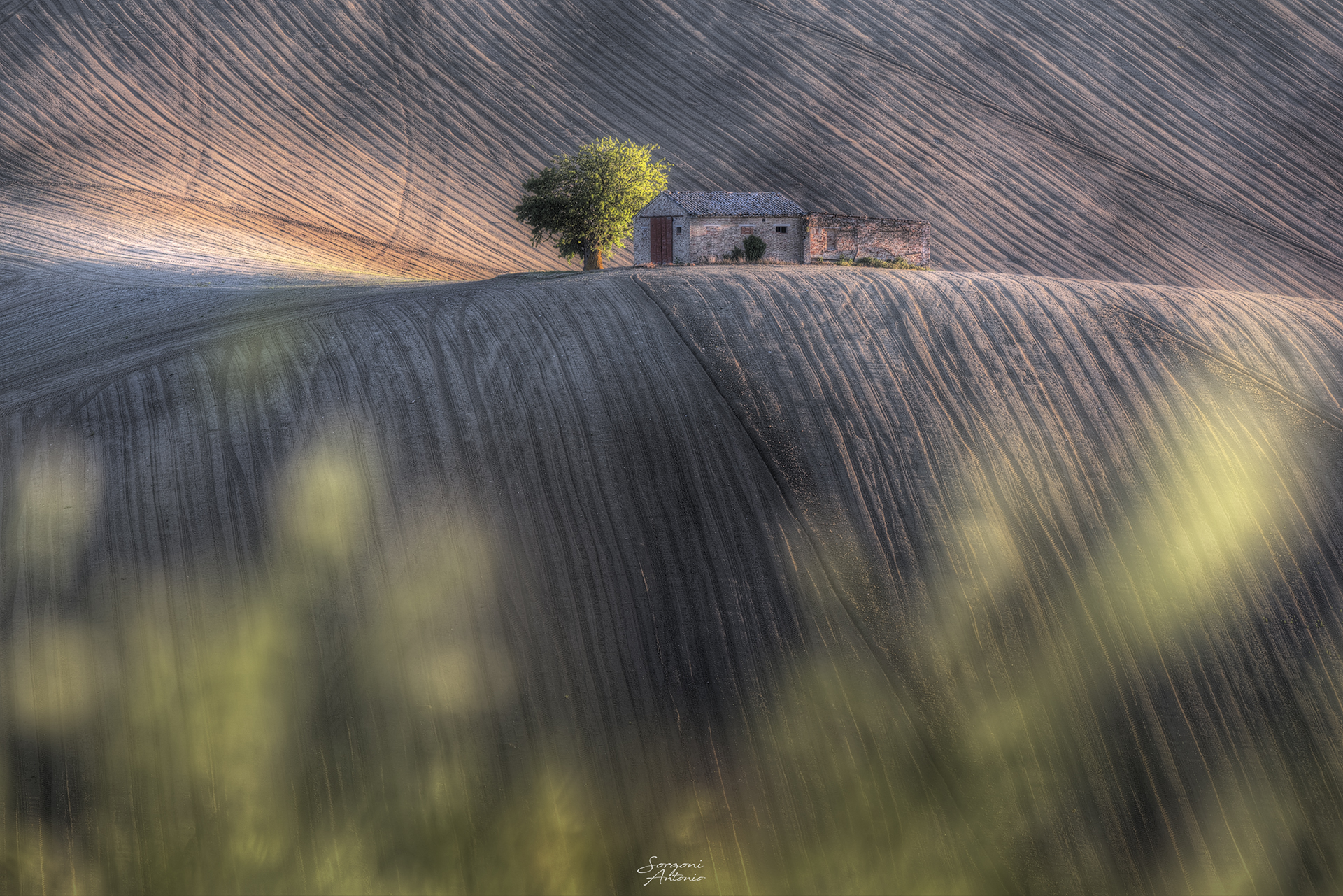 Attempt to customize something already seen.