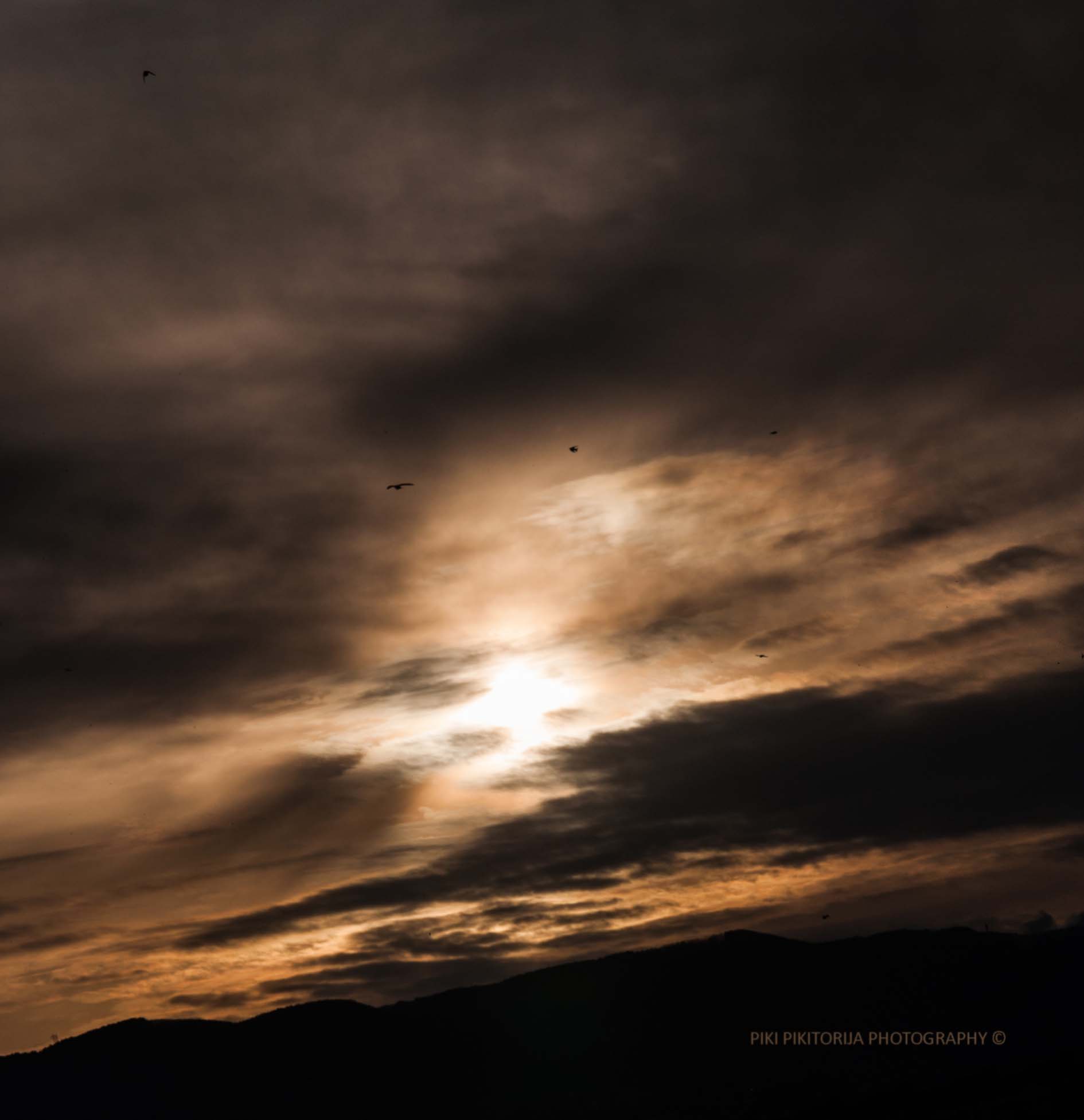 Un anno guardando le nuvole