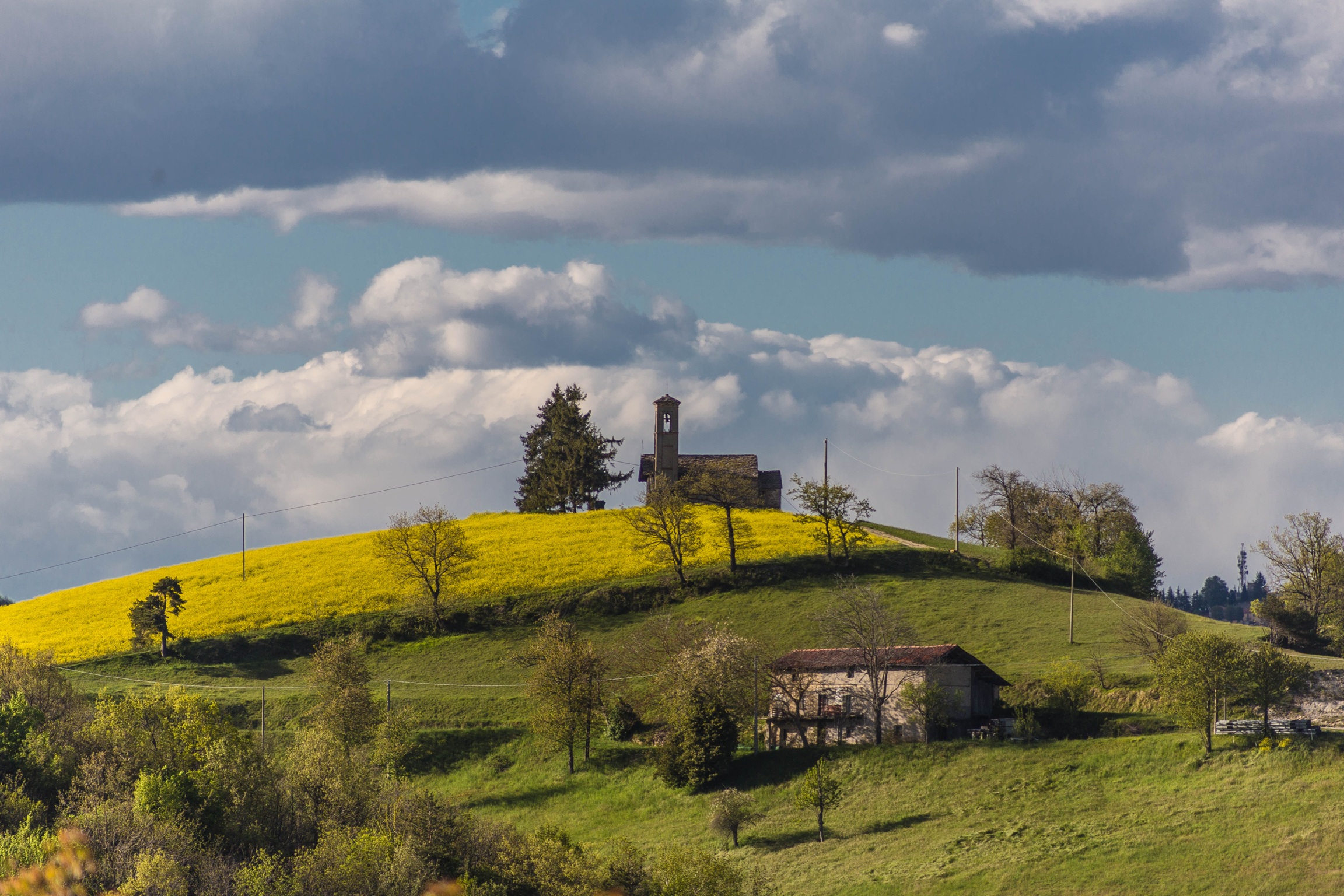 La bellezza di un disegno