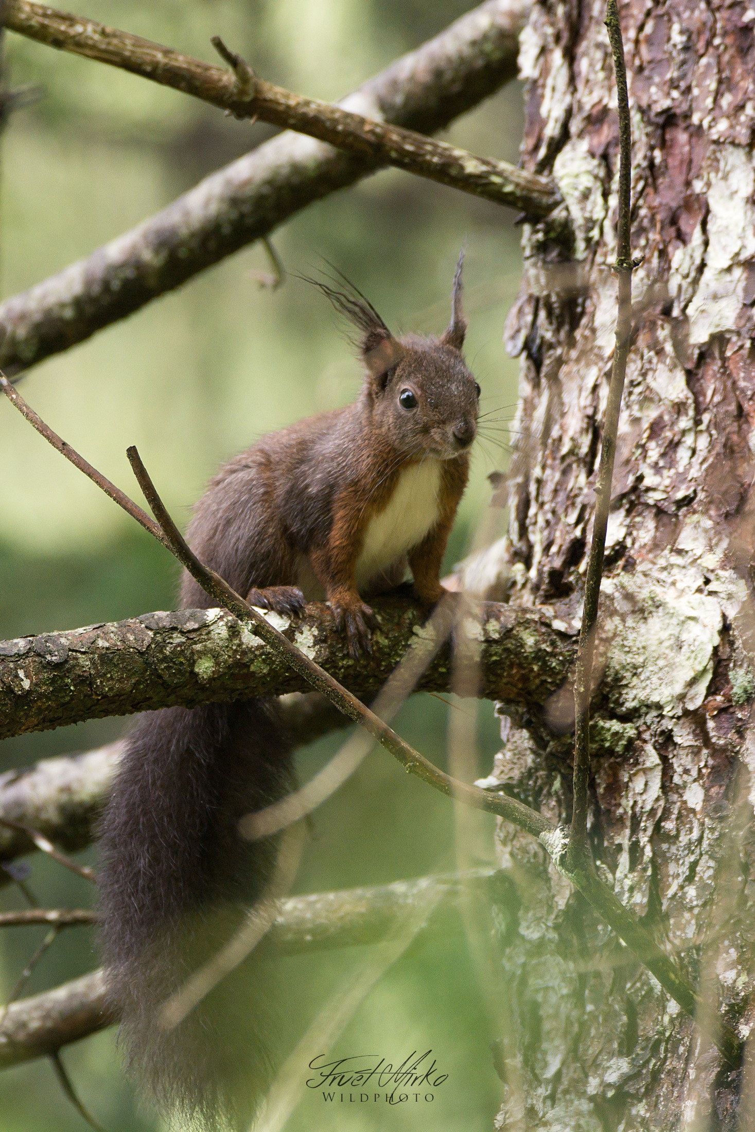 Un giretto dietro casa..