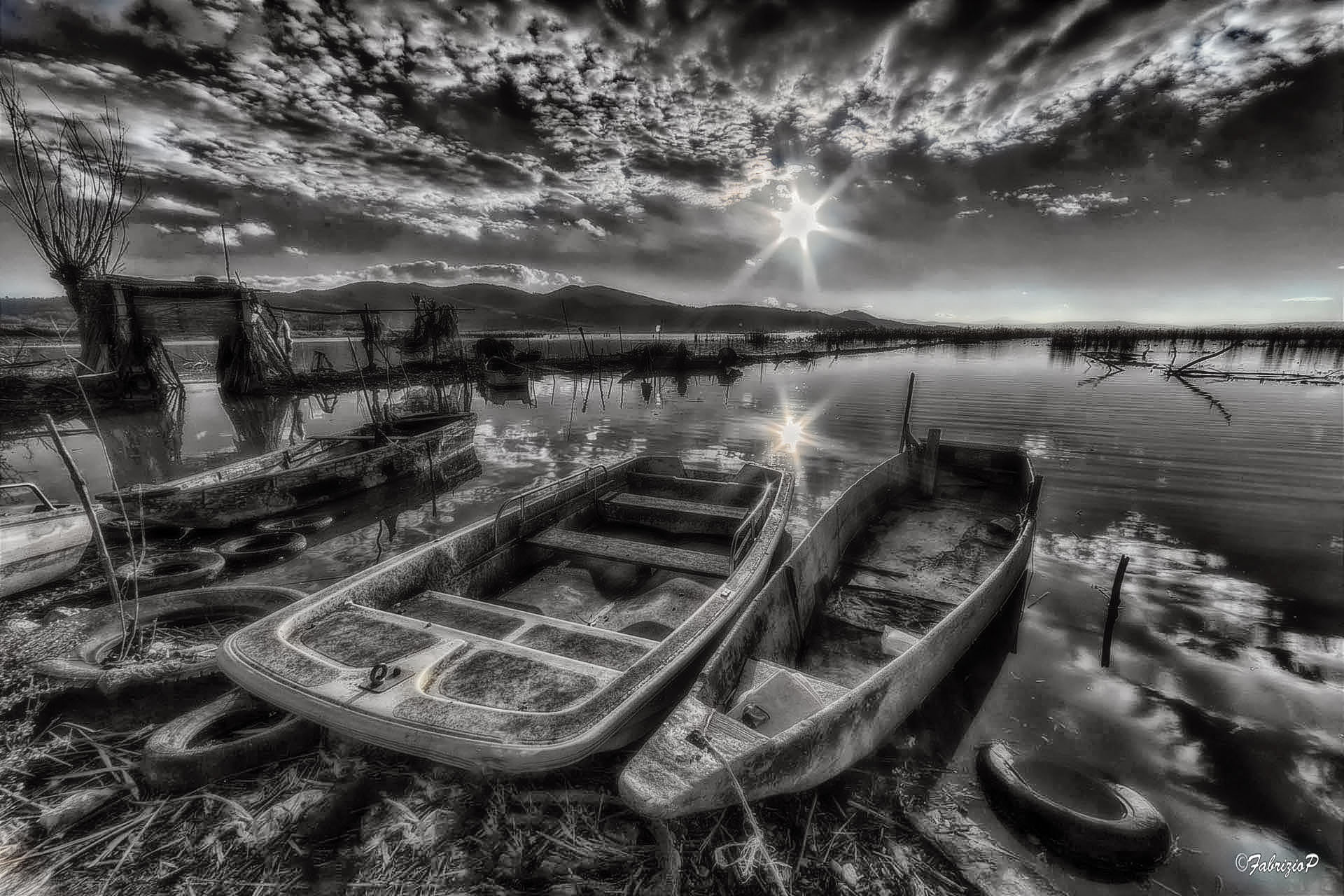 Companions... Waiting