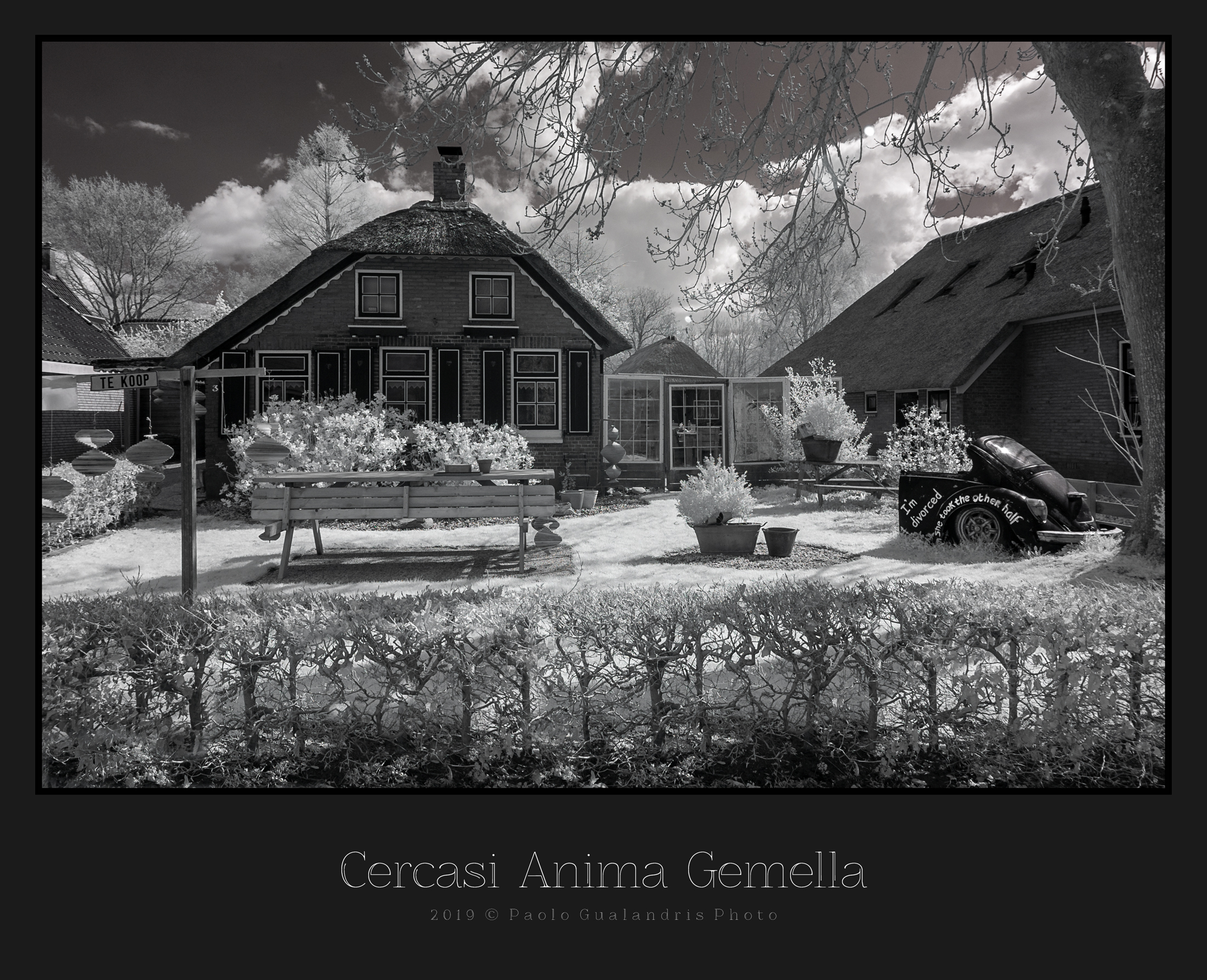 Cercasi Anima Gemella