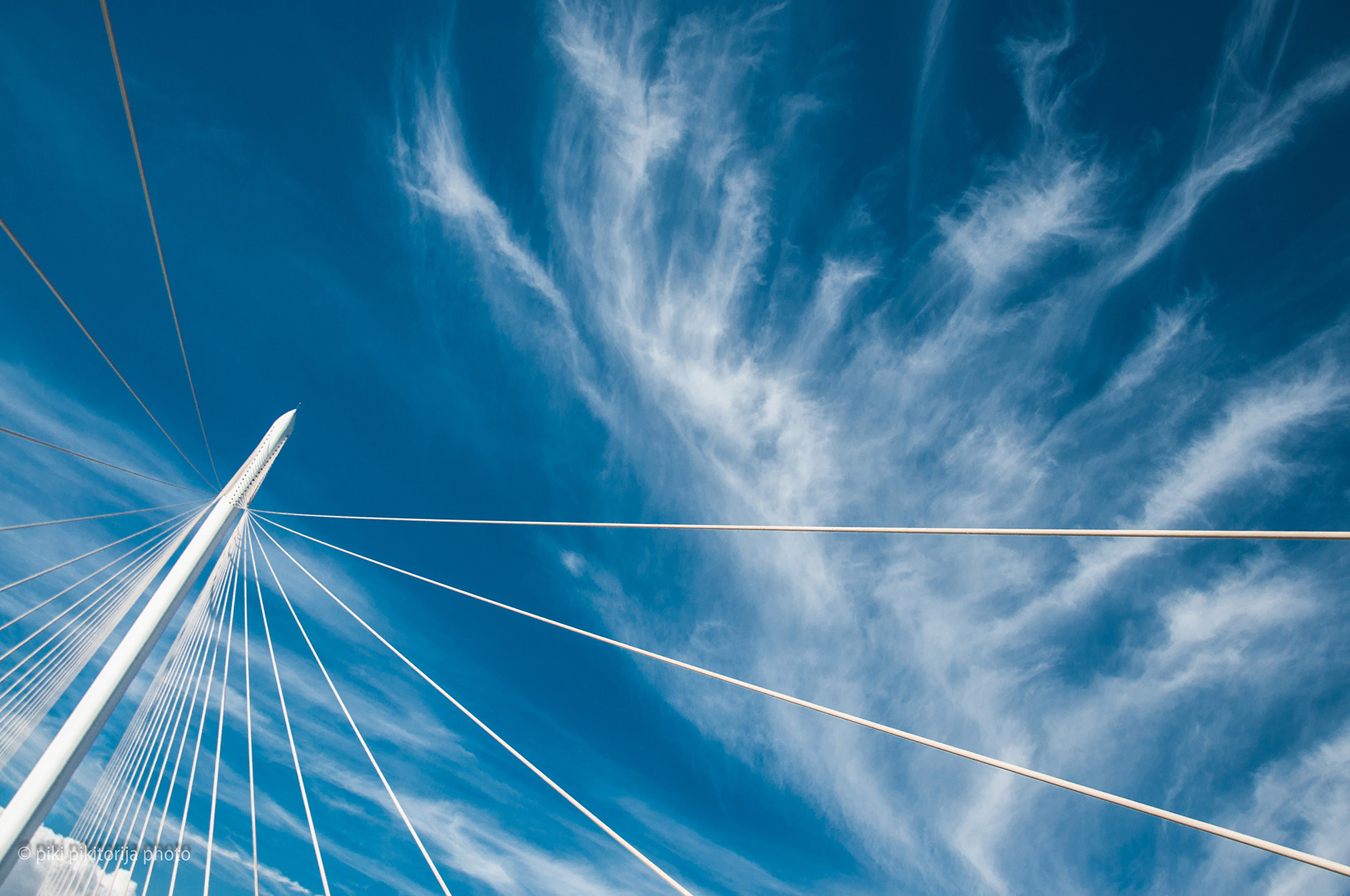 Il ponte di Calatrava. La mia vista