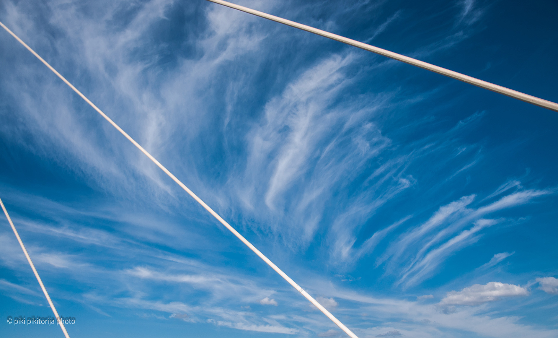 Il ponte di Calatrava. La mia vista