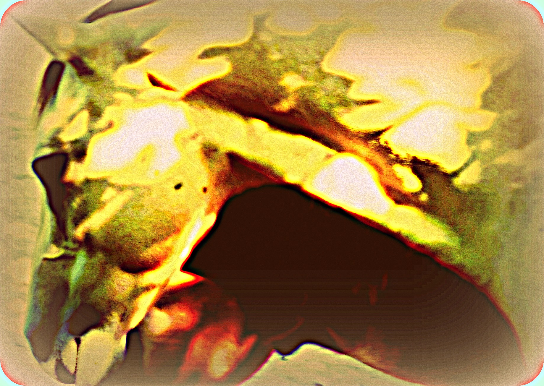 Horses 2