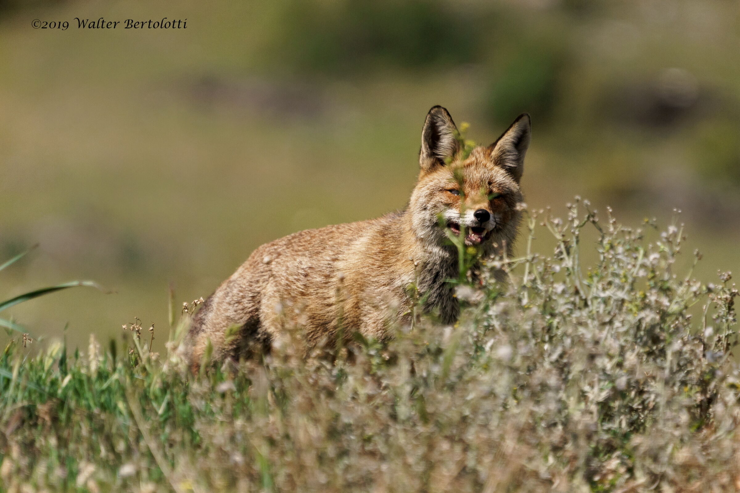 un'occhiata in più è meglio