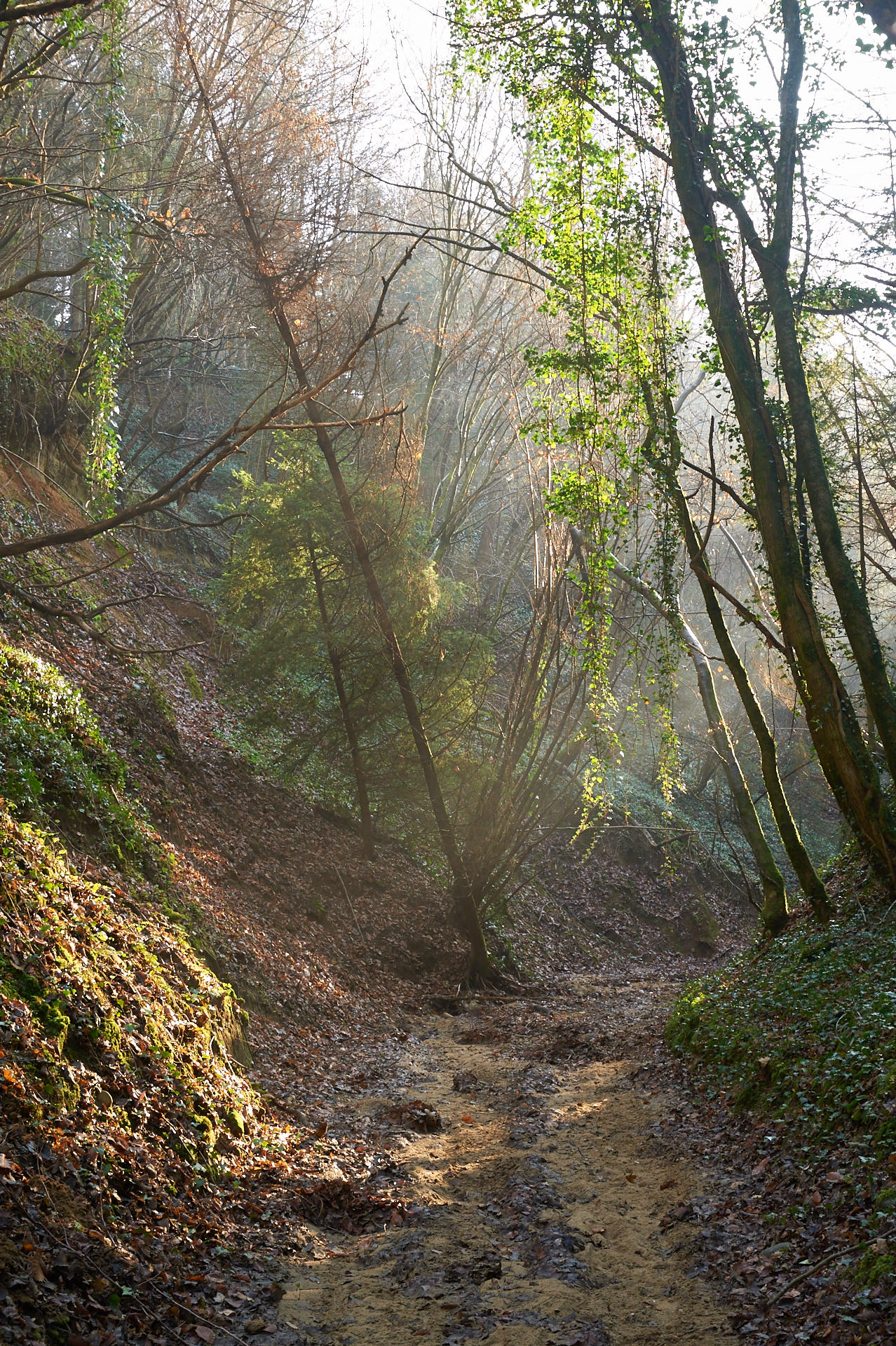 Le Béal de Servanay