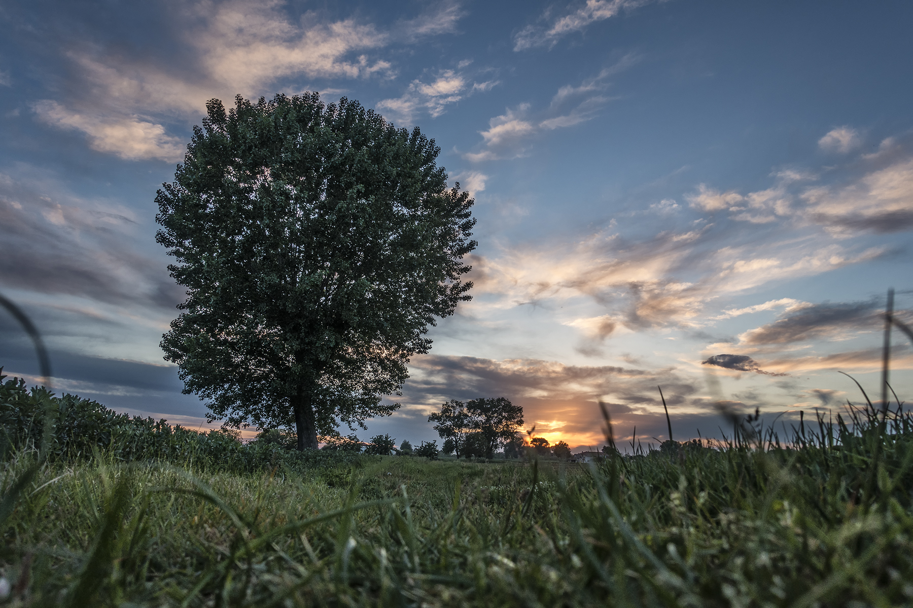 una sera di primavera