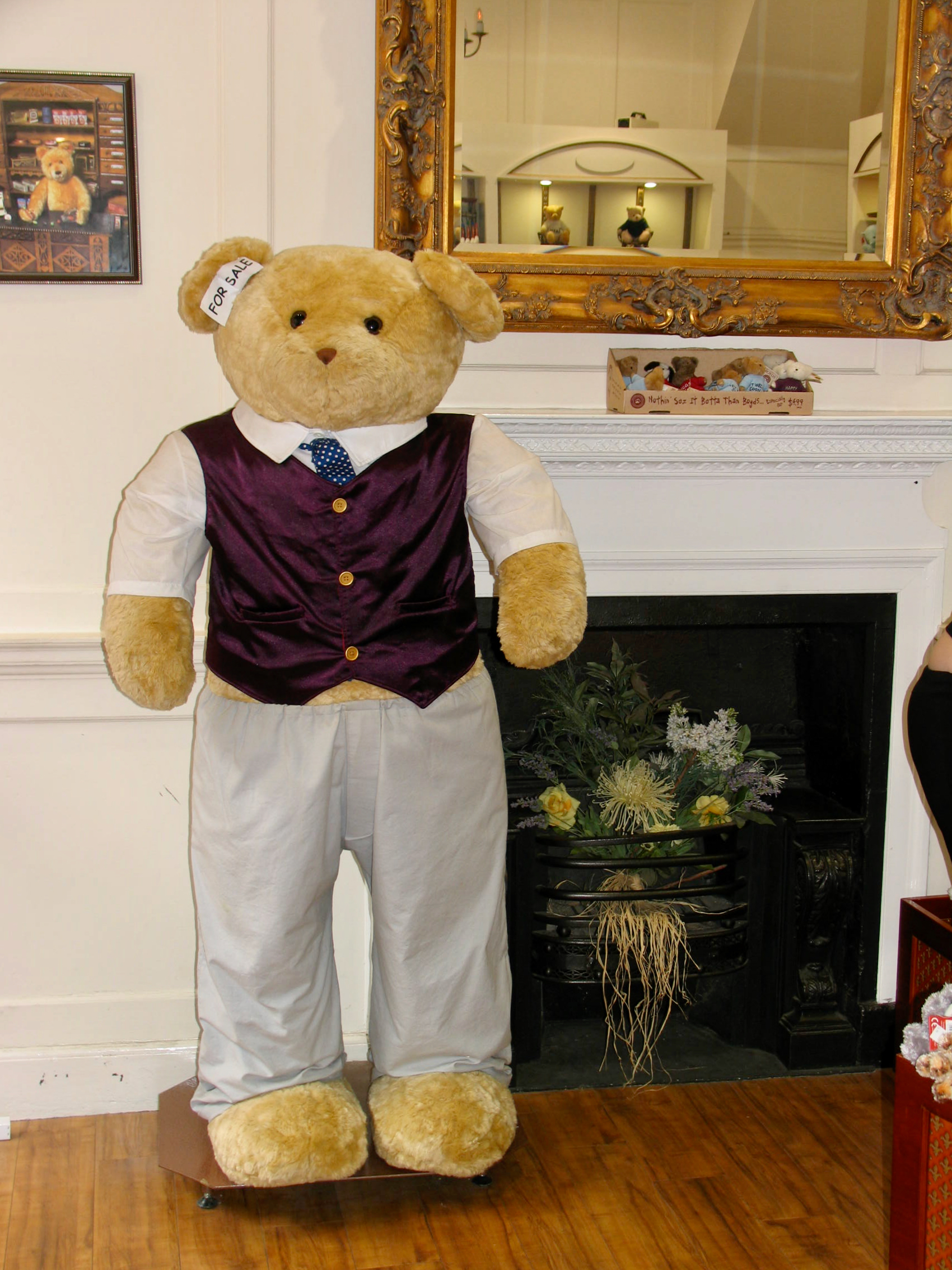 Teddy for Sale