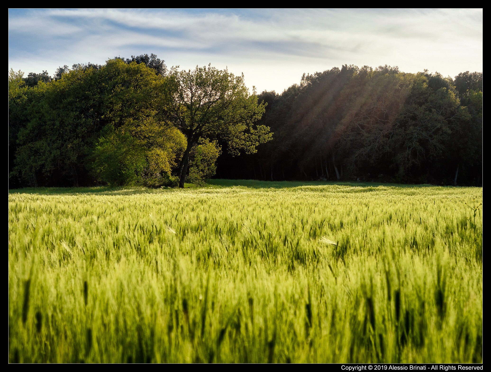Le campagne toscane...