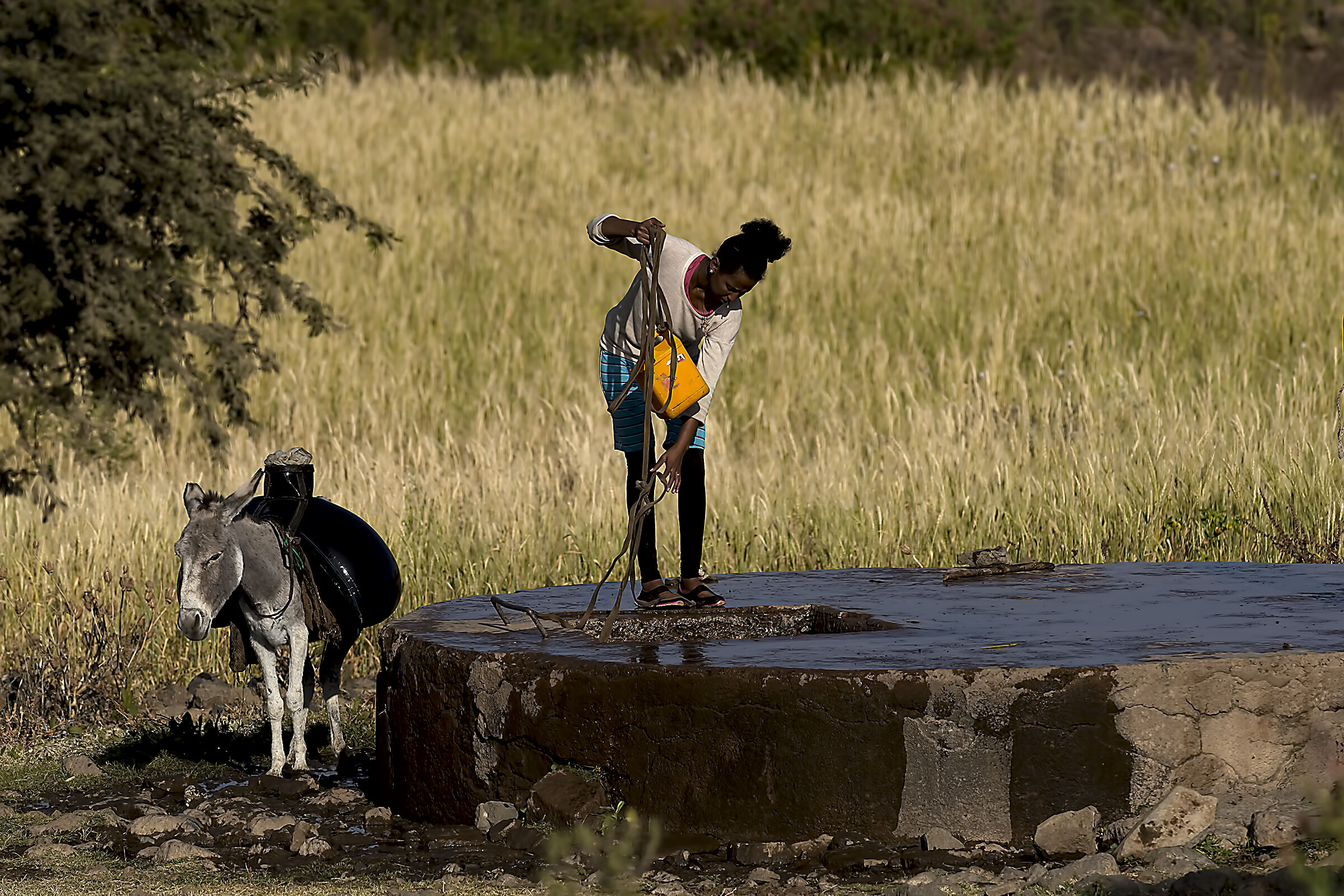 Approvvigionamento di acqua