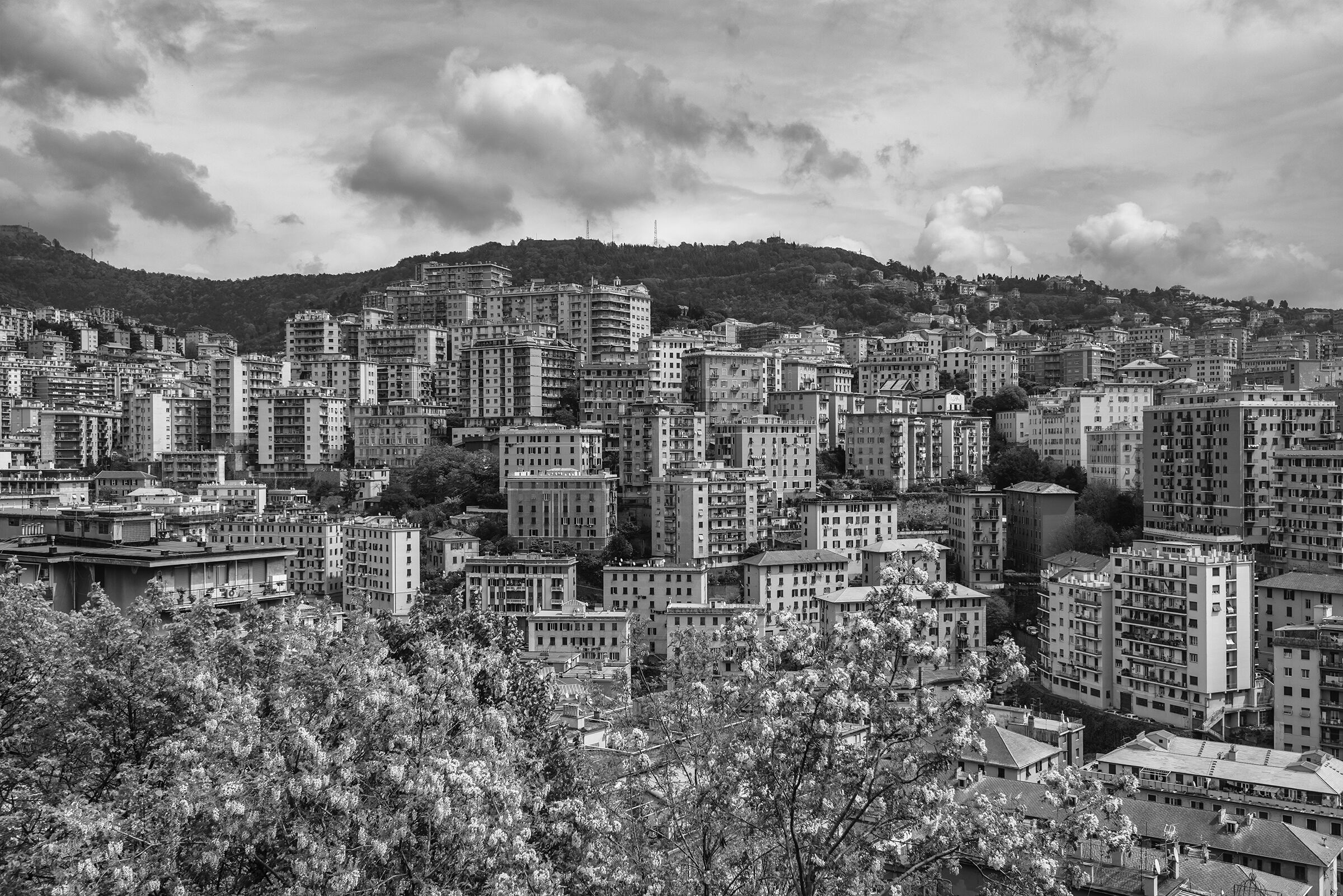 District Oregina-Lagaccio