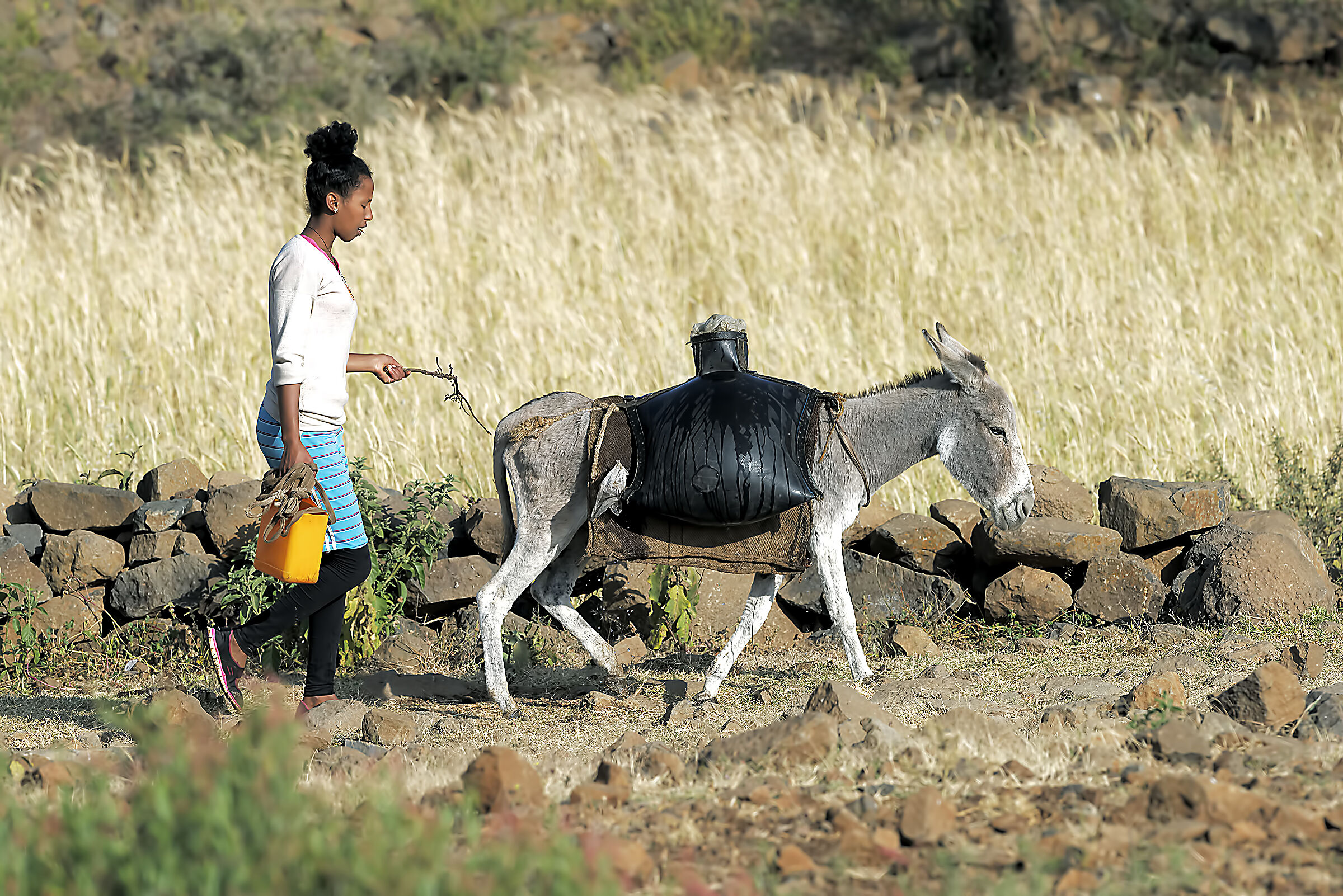 Trasporto acqua - Eritrea