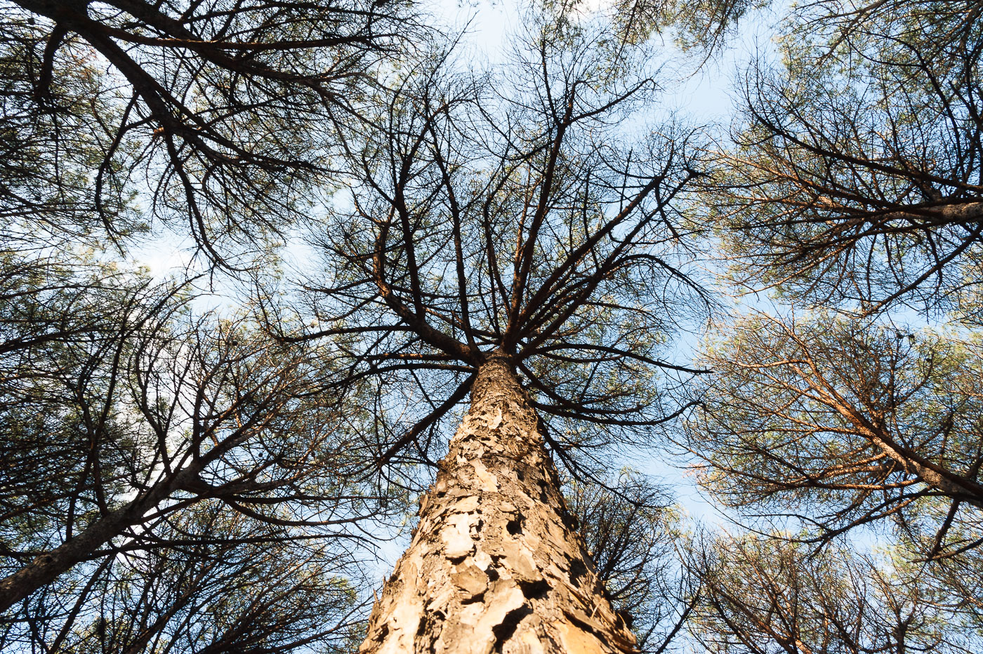 I found myself in a wilderness...