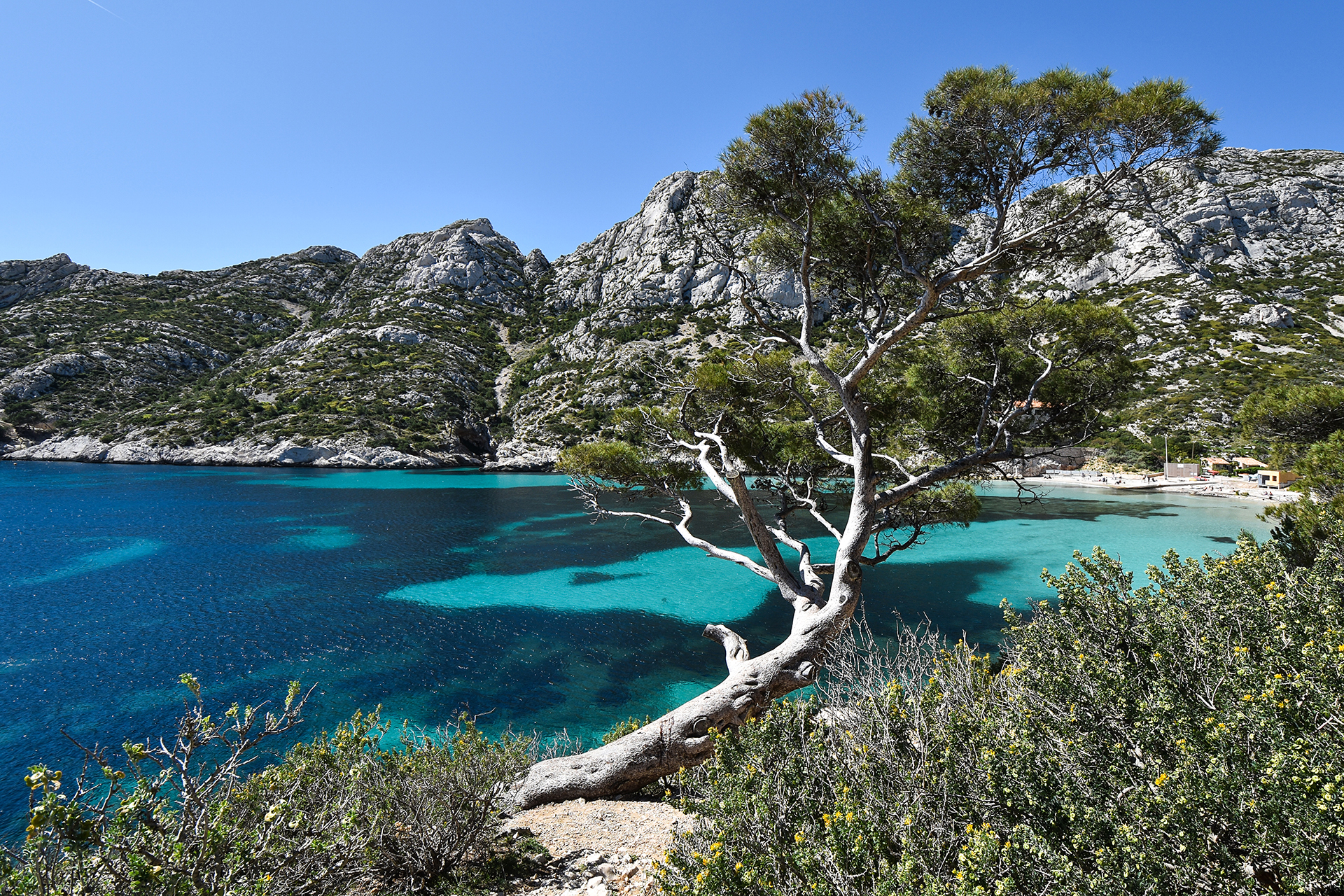 Calanque de Sormiou