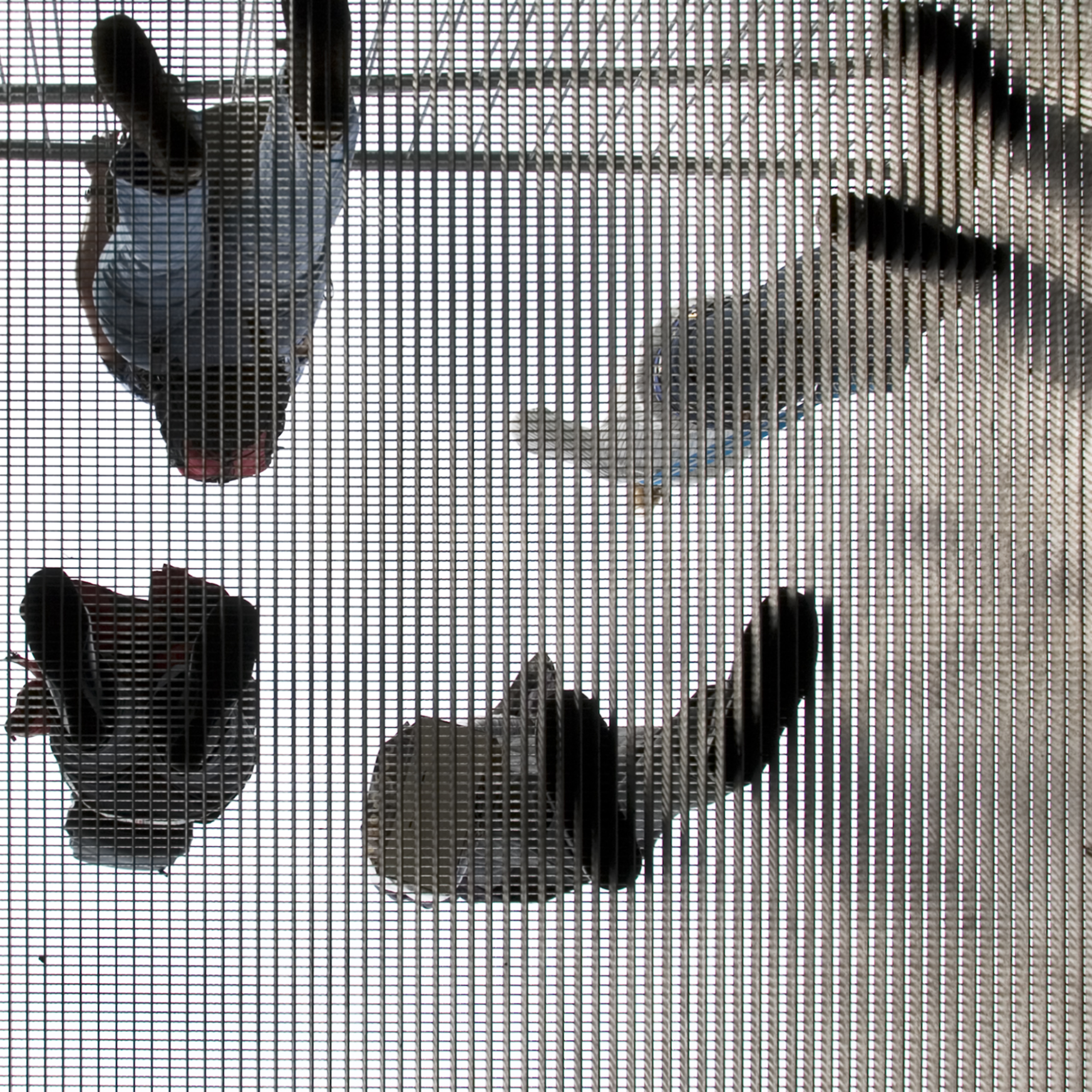 Strange perspectives