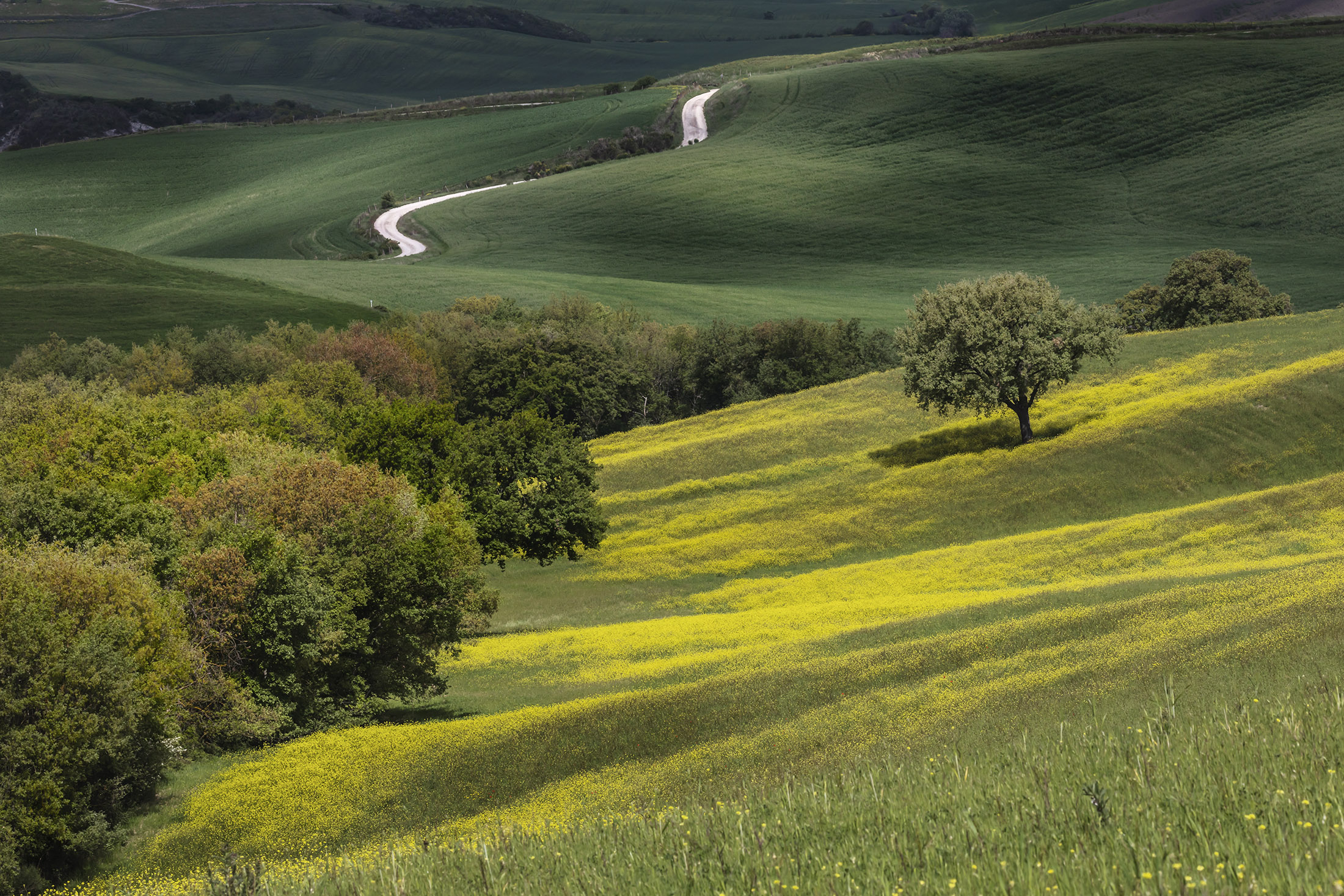 There's the yellow!!