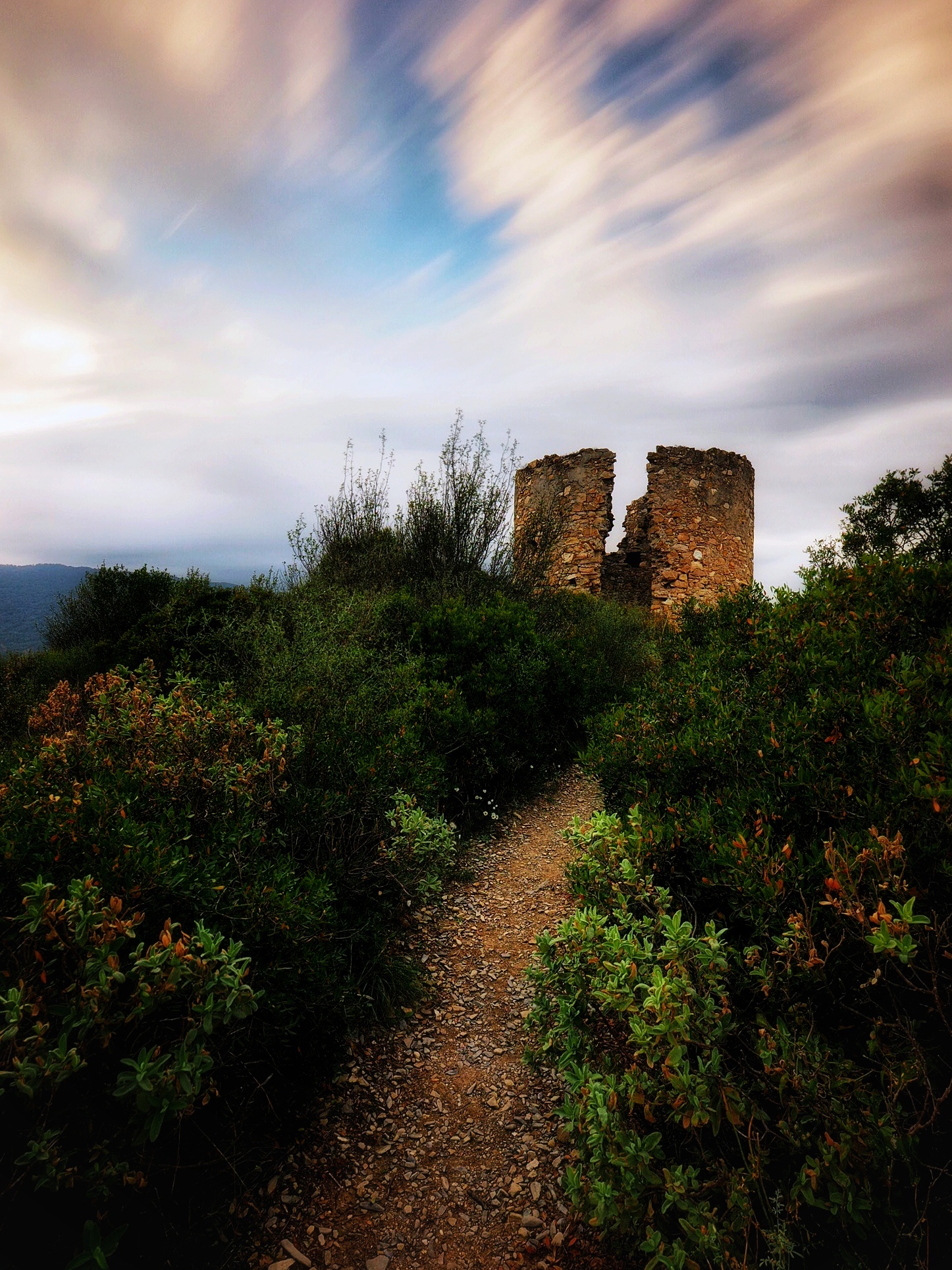 The Tower in the wind
