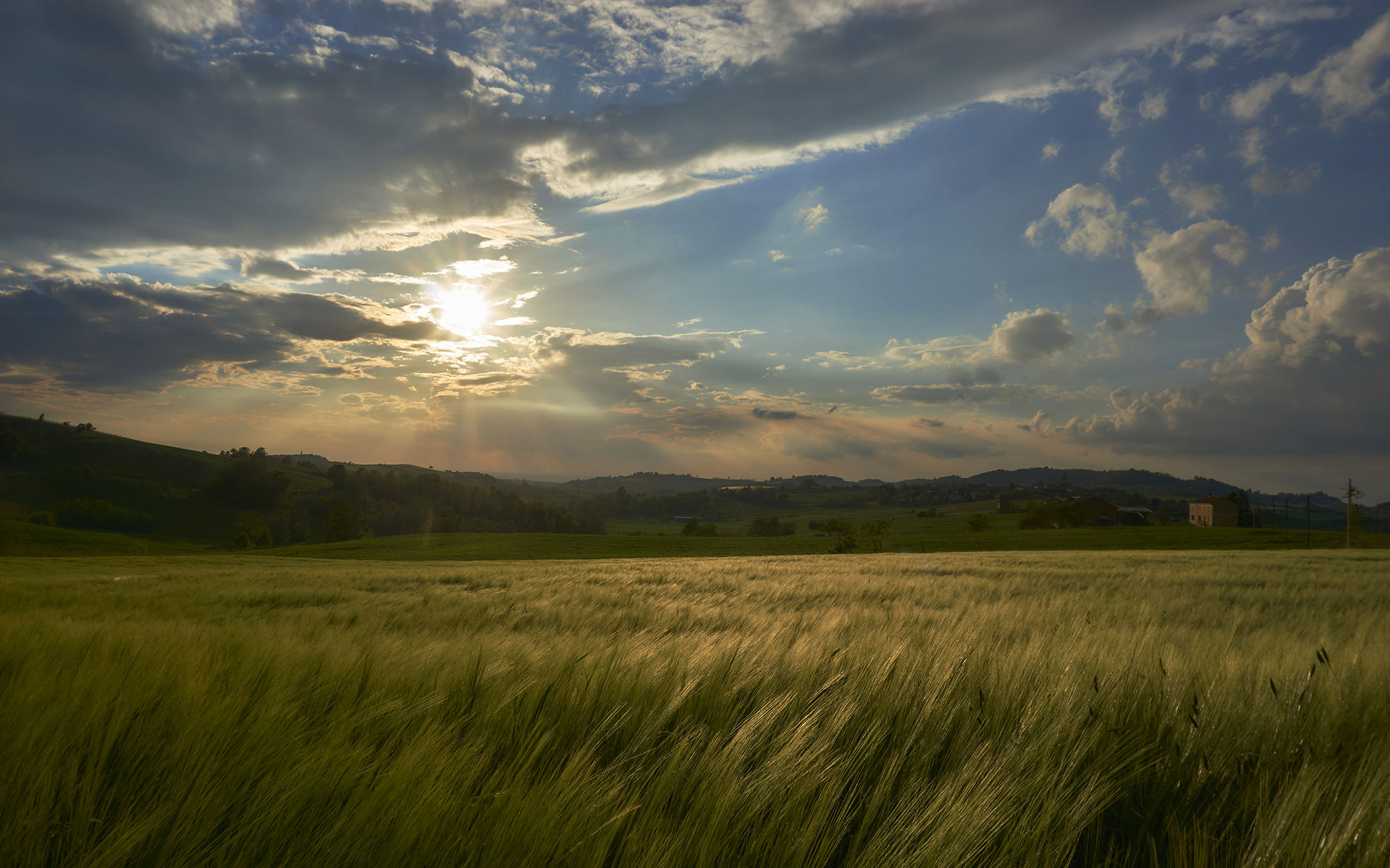 Colli Tortonesi - Il vento sul grano - 04.05.19