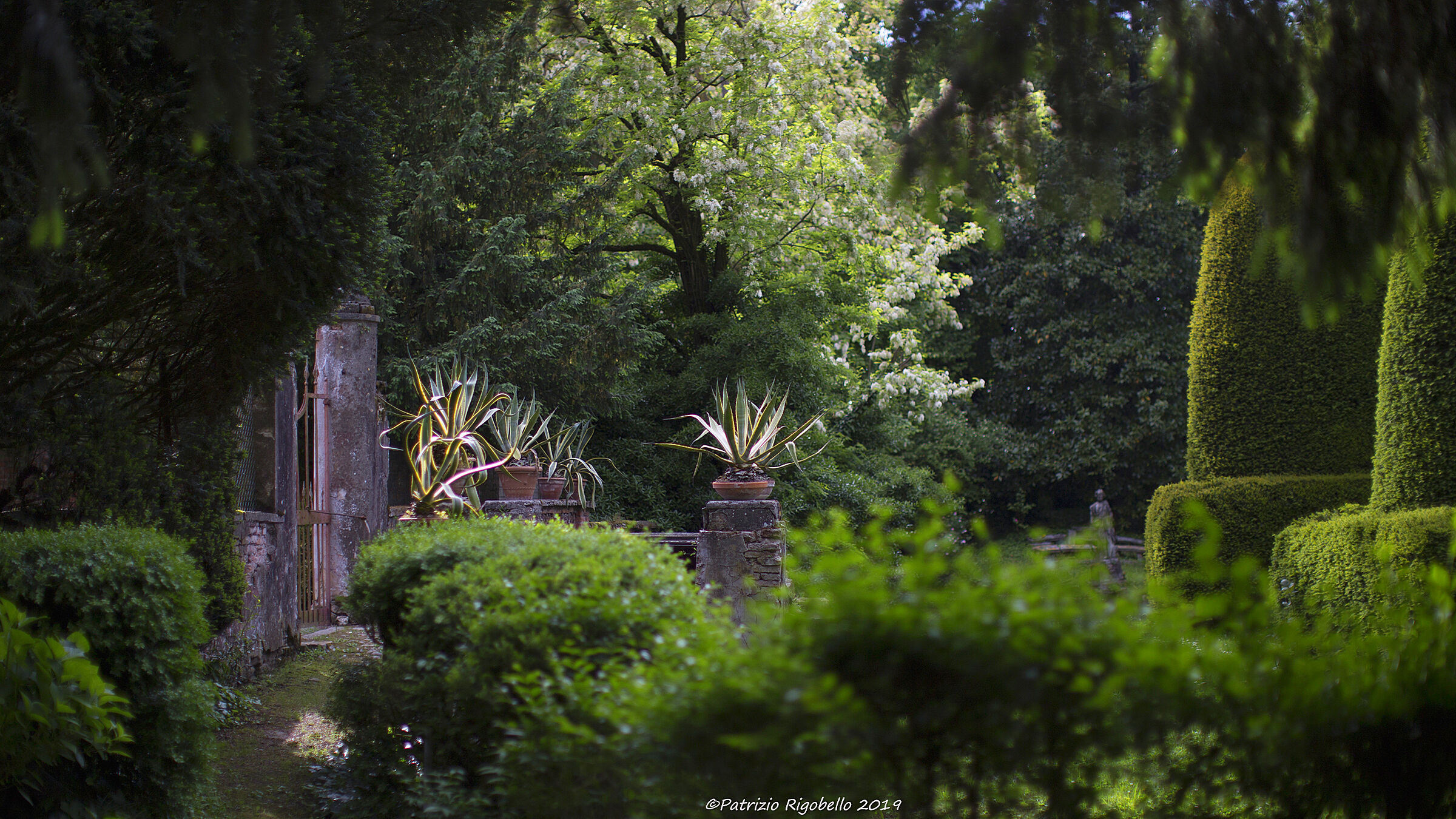 May green at Ca ' Dolfin Marchiori