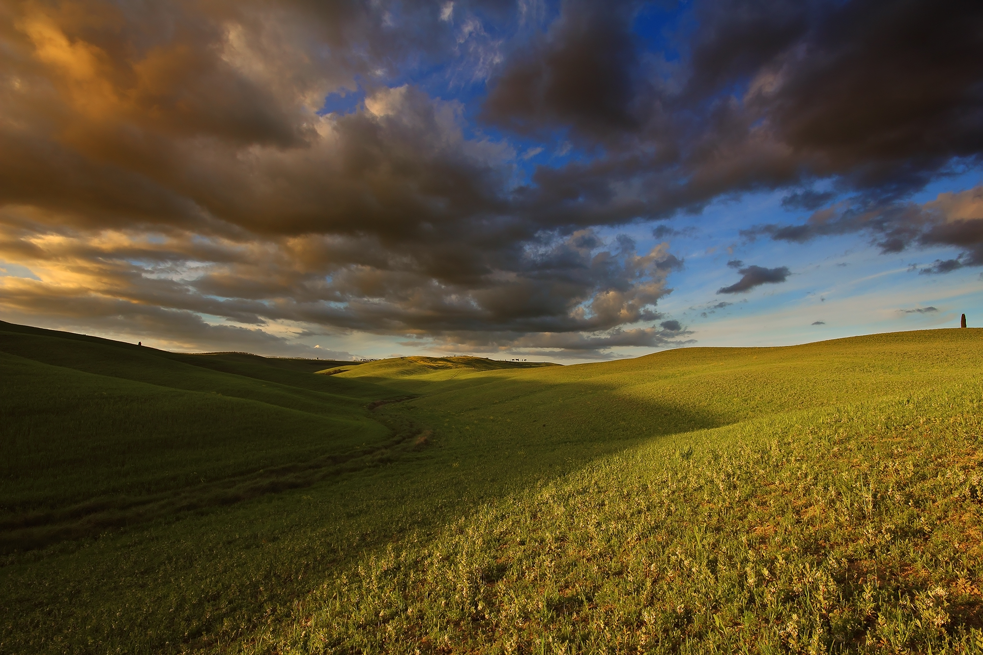 paesaggi della Cassia....