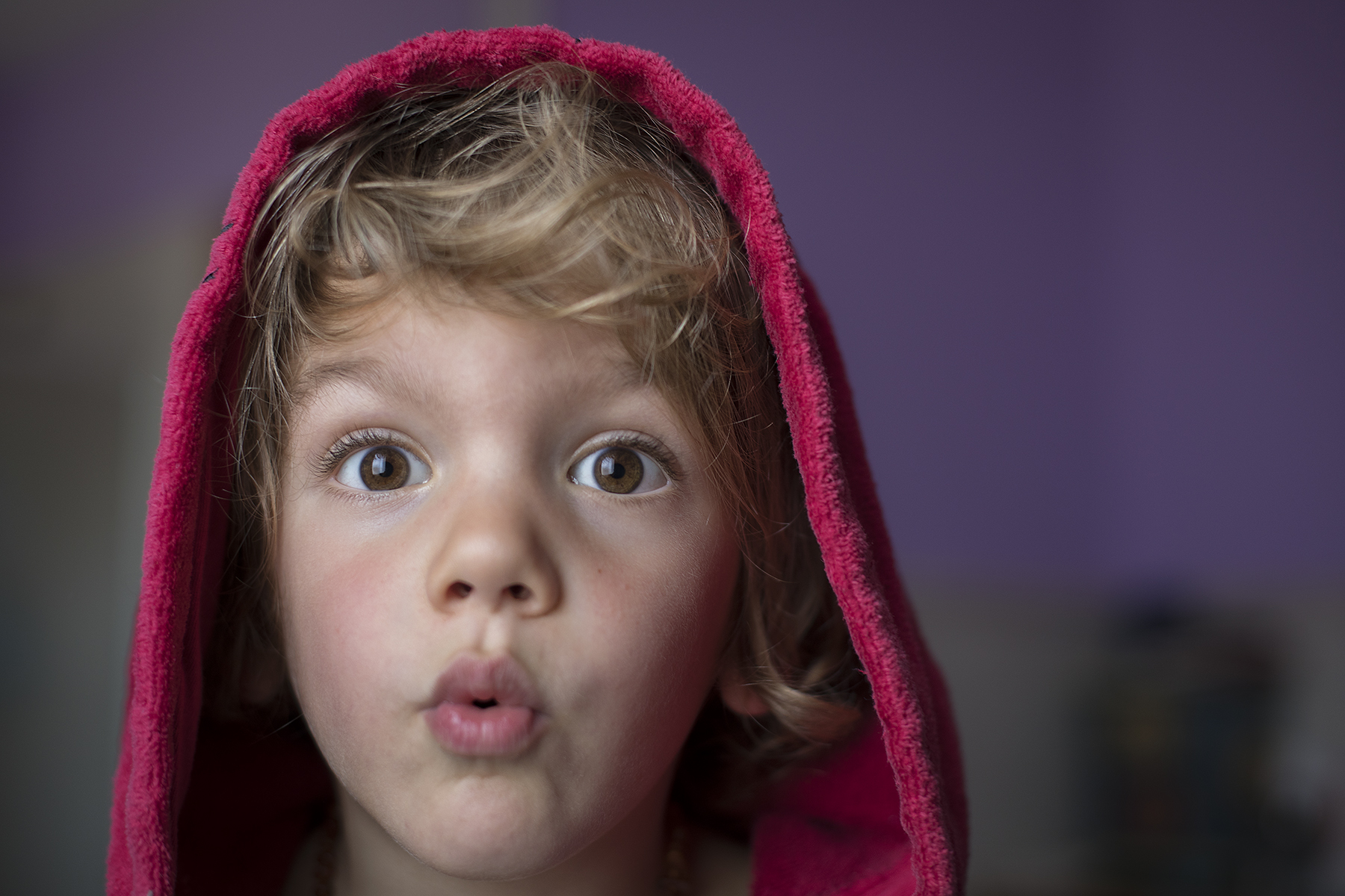 The Rocky of our house