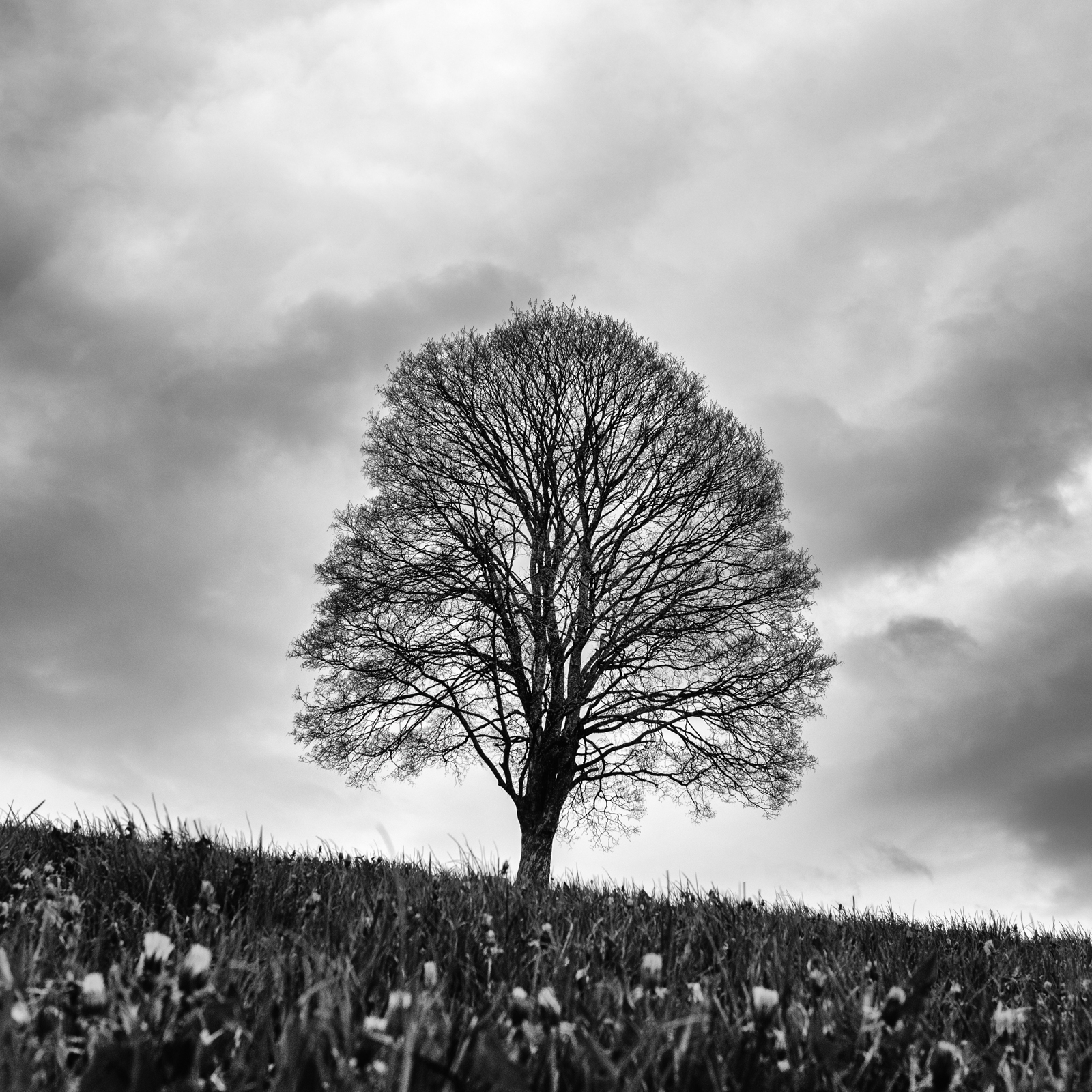 Untitled Photo